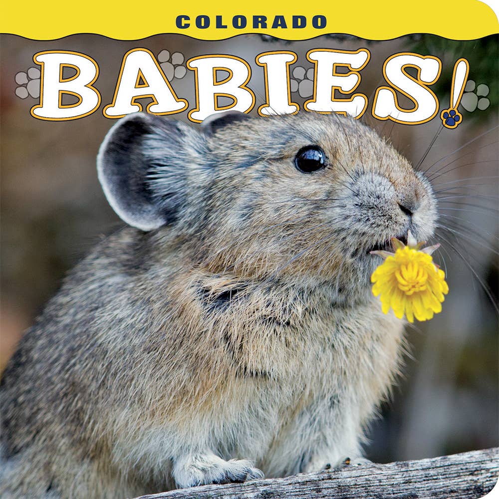 Colorado Babies