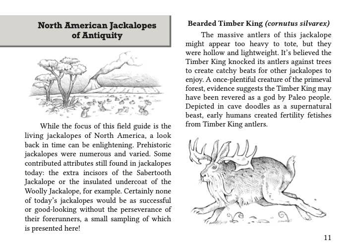 Field Guide to the North American Jackalope Expanded Edition - Image 3