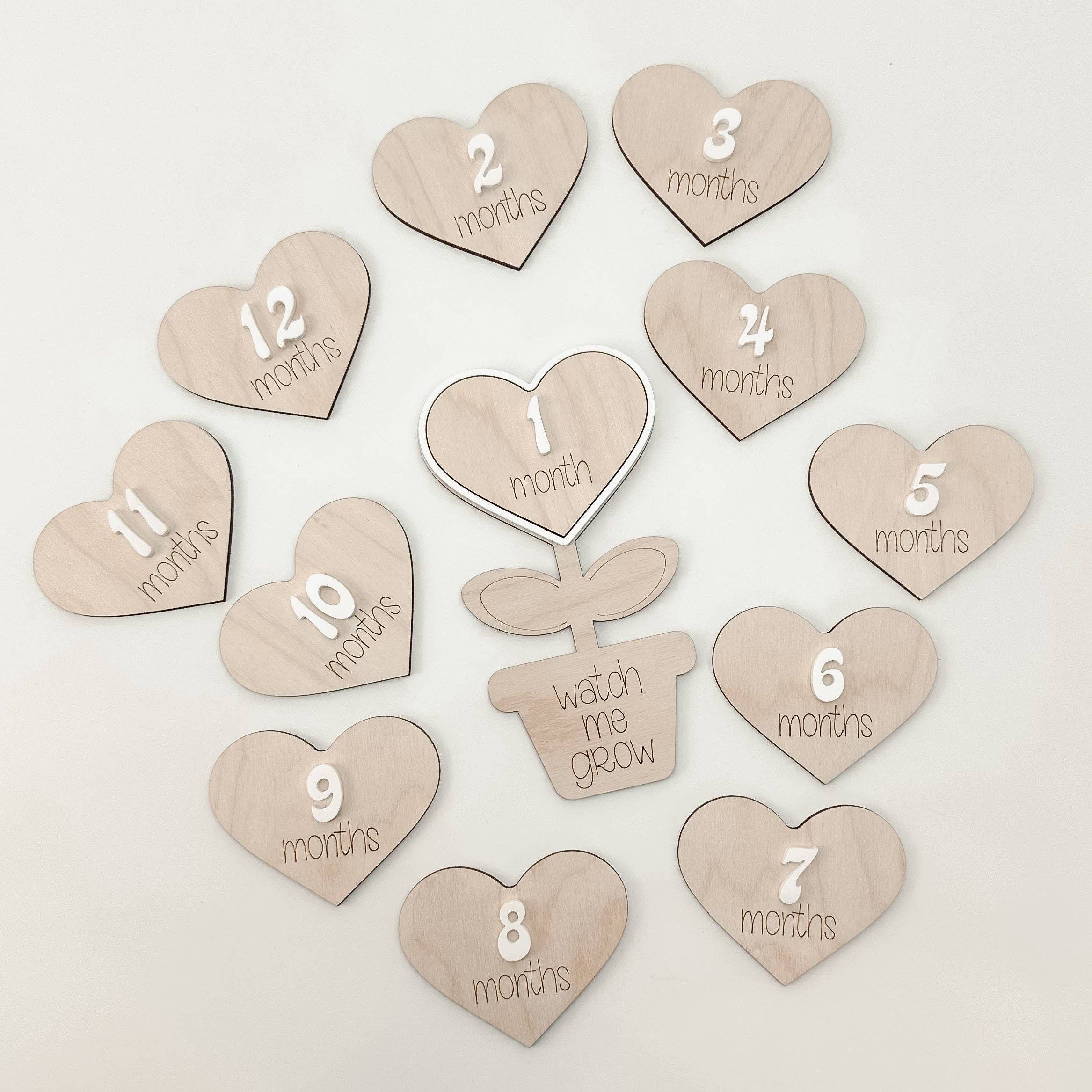 Flower Pot Baby Monthly Markers - Image 2