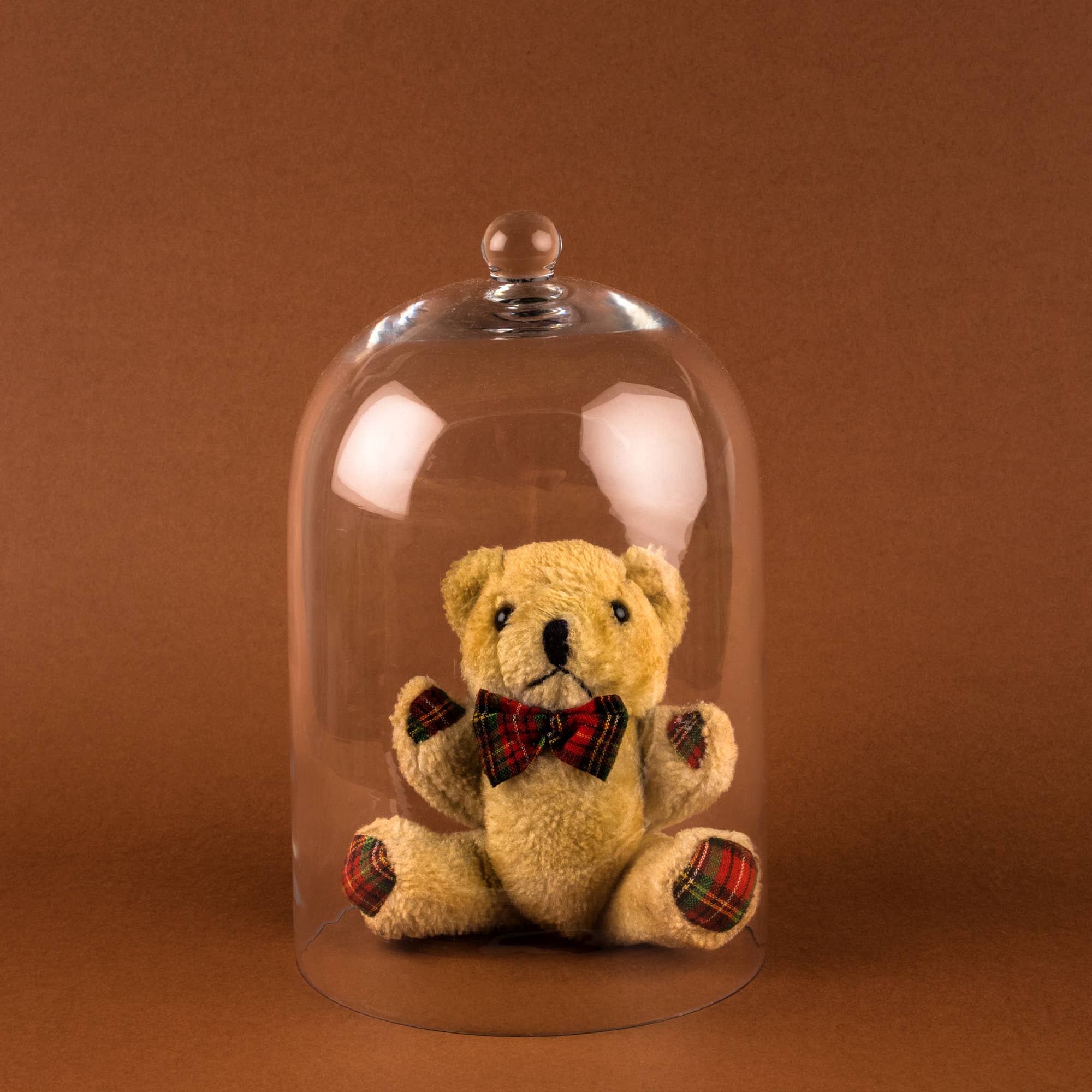 Glass Cloche - Image 2