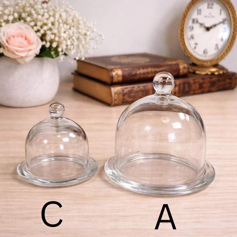 Glass Dome Display Cloche with Base - Image 2