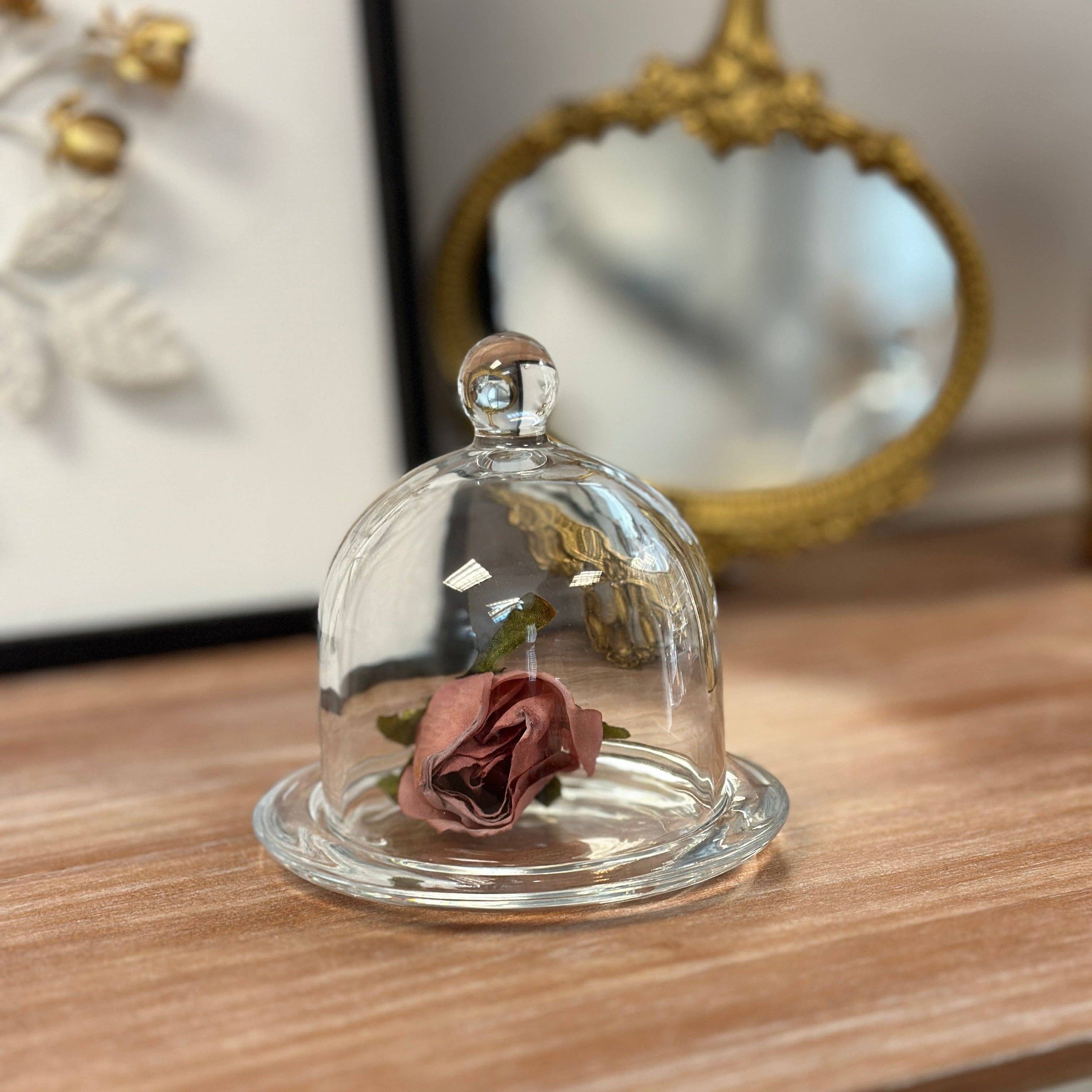 Glass Dome Display Cloche with Base - Image 5