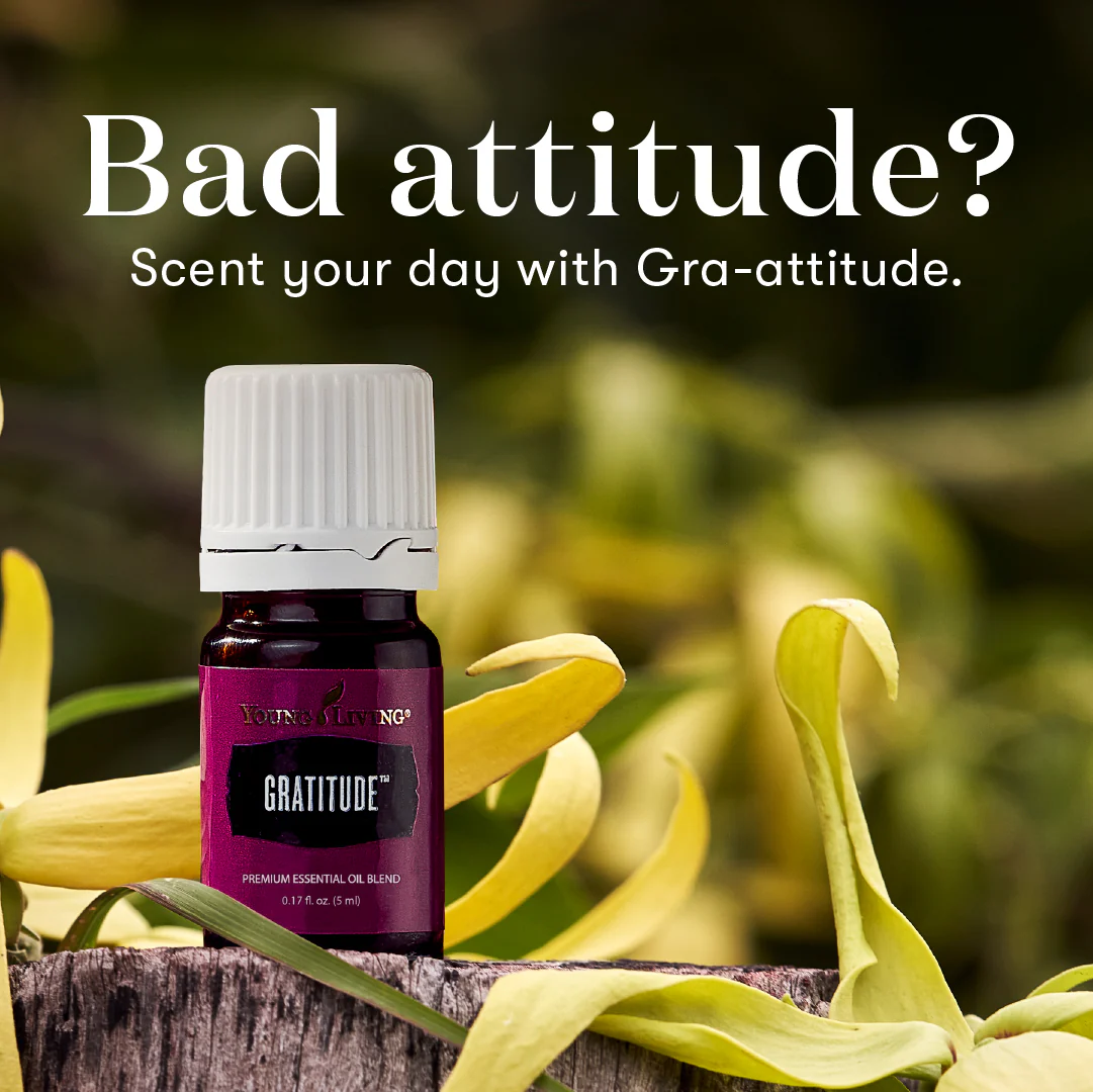 Gratitude - Young Living Essential Oil 5ml - Image 2