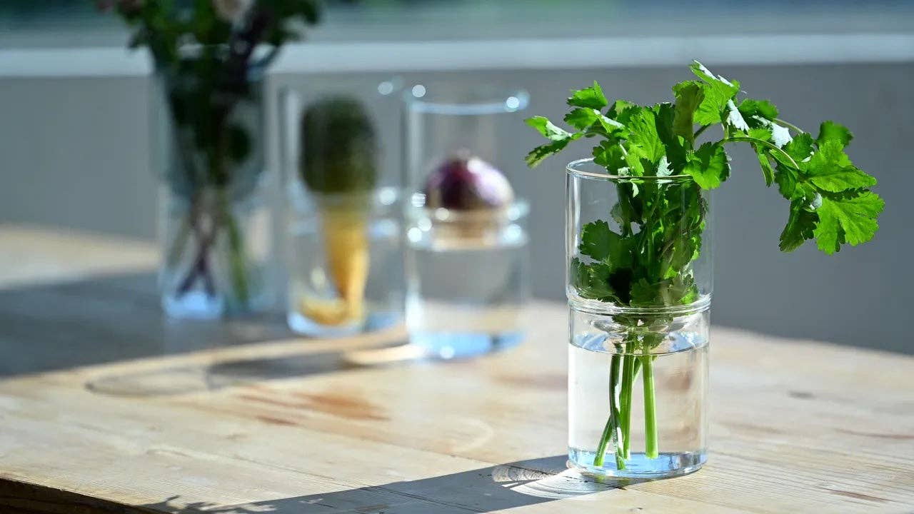 Glass Flower Vase - Image 17