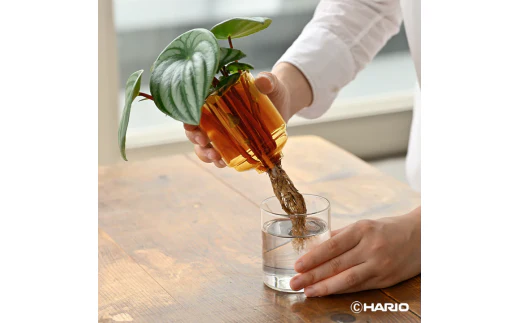 Glass Flower Vase - Image 4