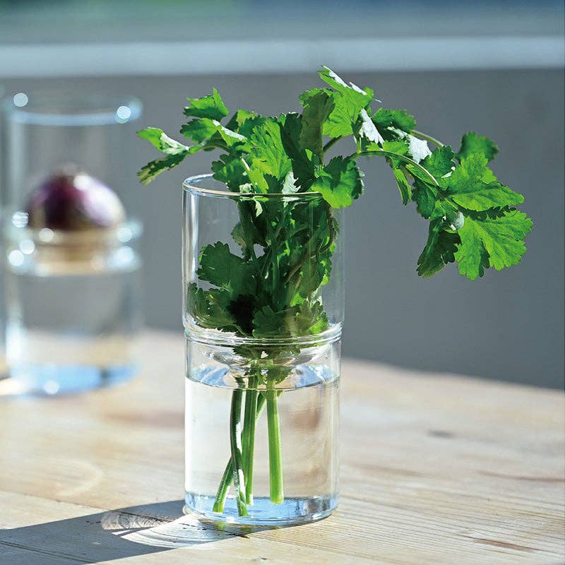 Glass Flower Vase - Image 7