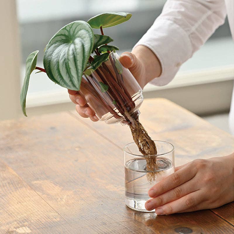 Glass Flower Vase - Image 8