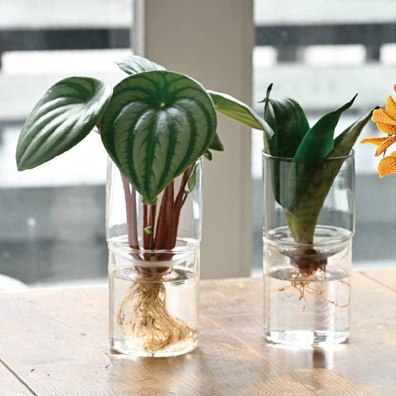 Glass Flower Vase - Image 9