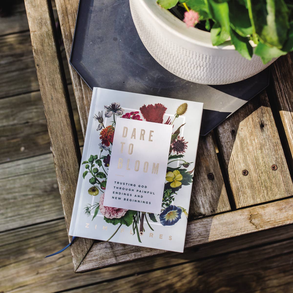 Dare To Bloom - Image 10