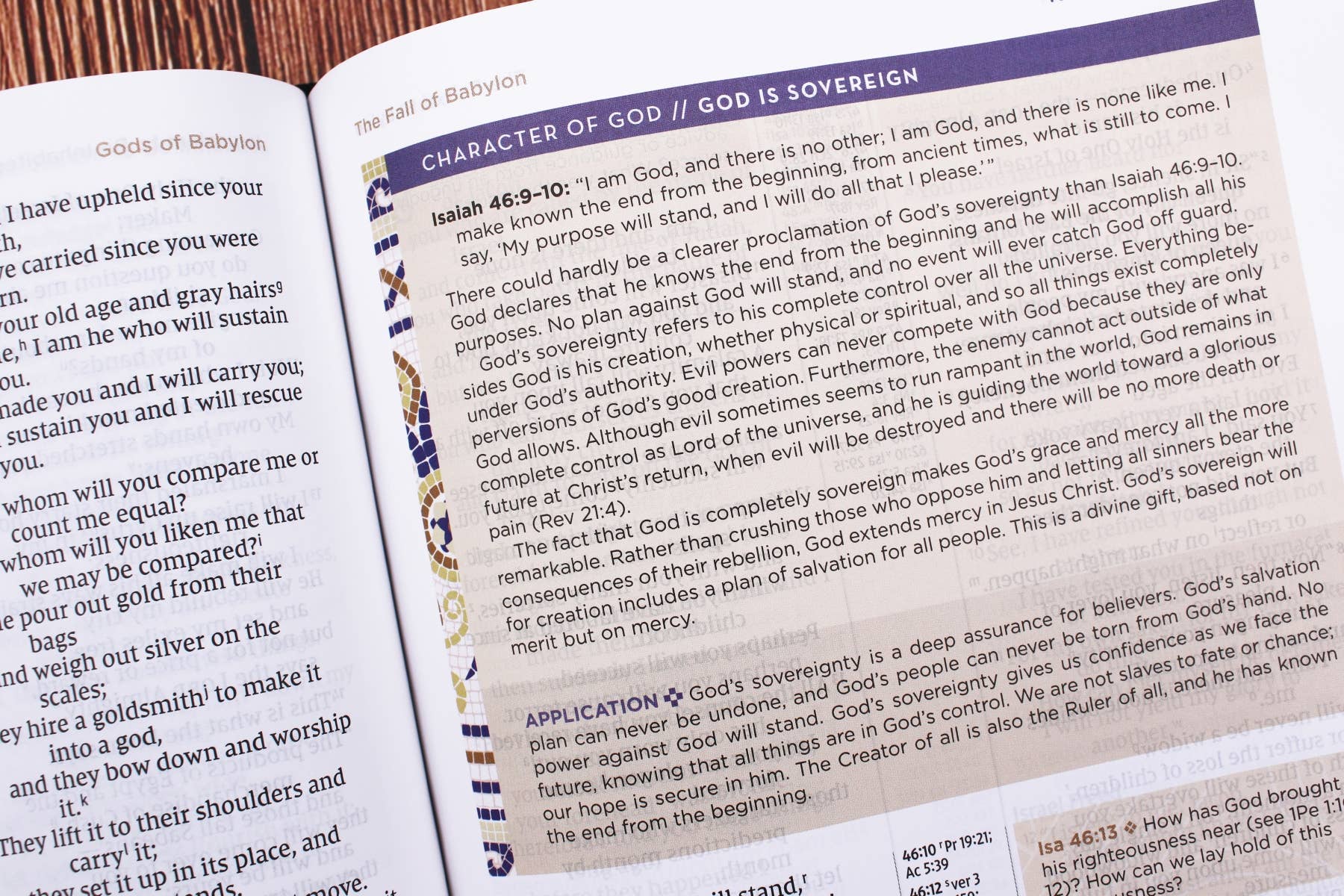 NIV Application Bible Leathersoft Red Letter Comfort Edition - Image 7