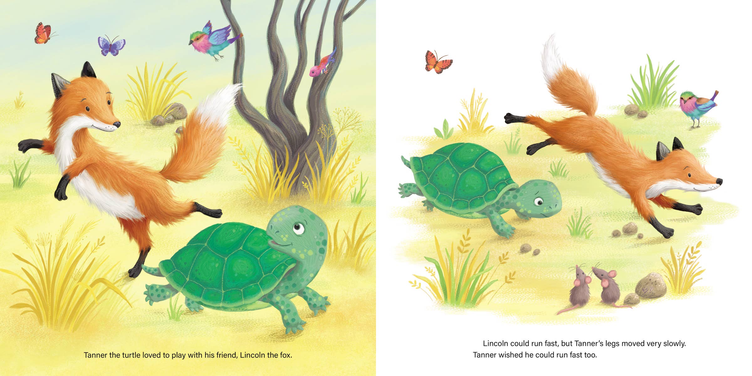 Turtle Finds His Talent - Image 2