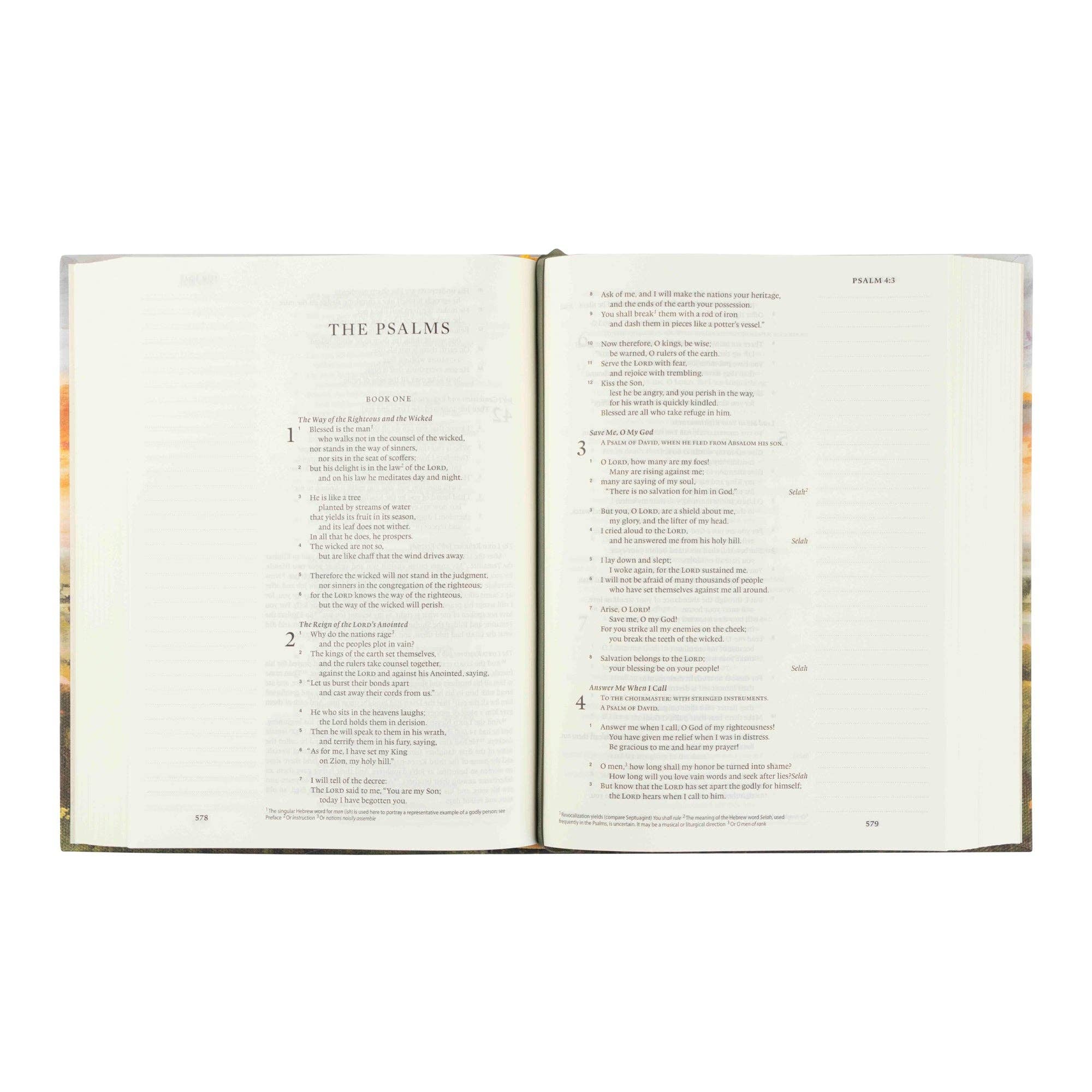 ESV Journaling Bible: Florence Theme - Image 5