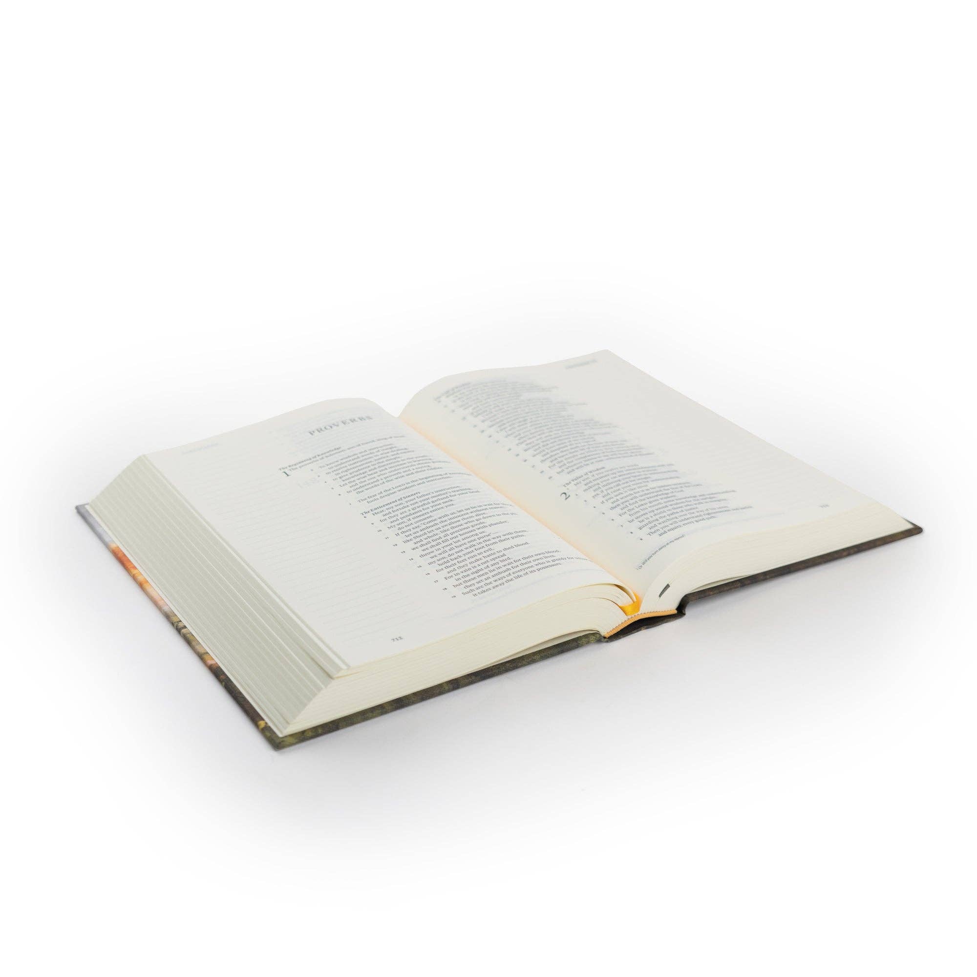ESV Journaling Bible: Florence Theme - Image 6