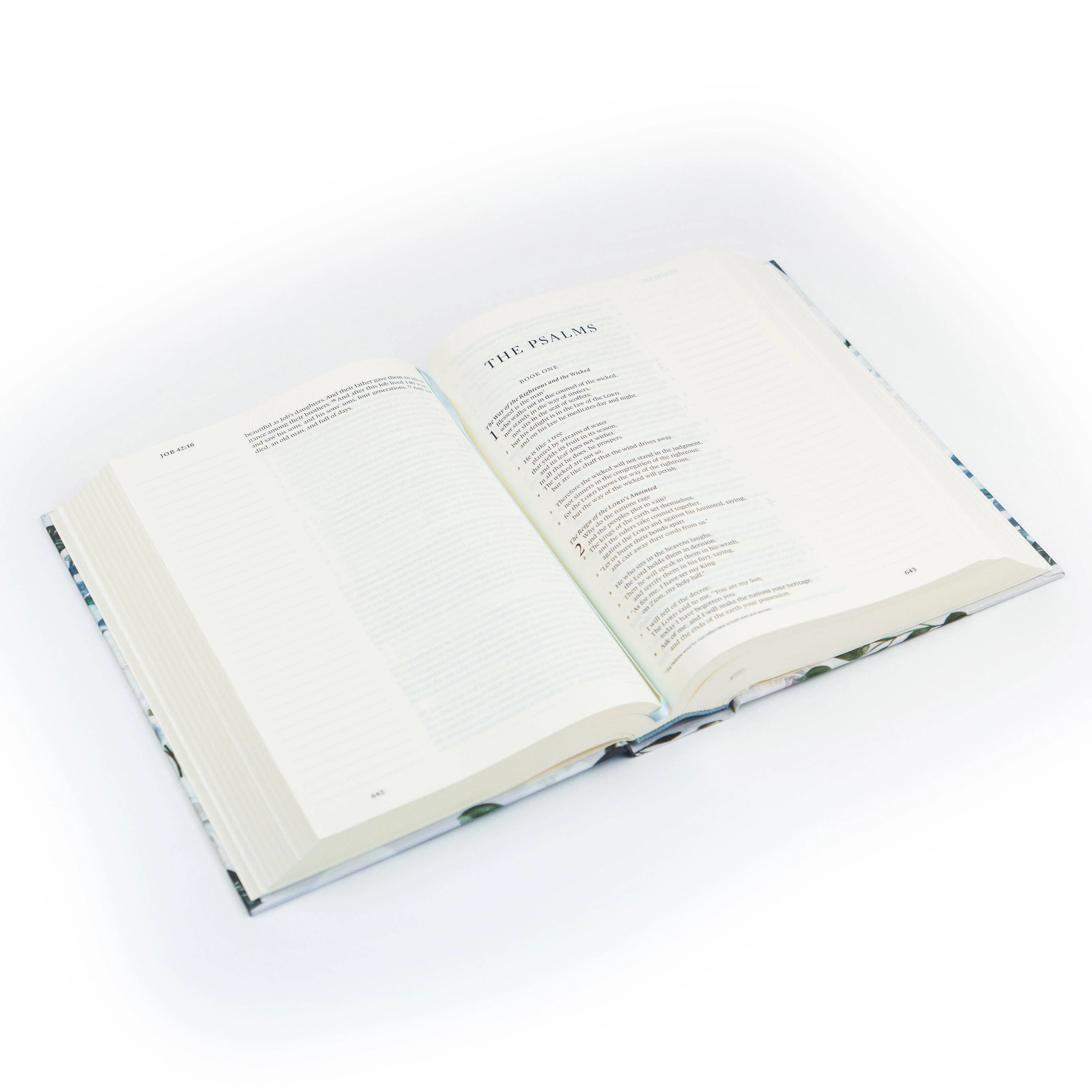 ESV Large Print Journaling Bible: Victoria Theme - Image 6