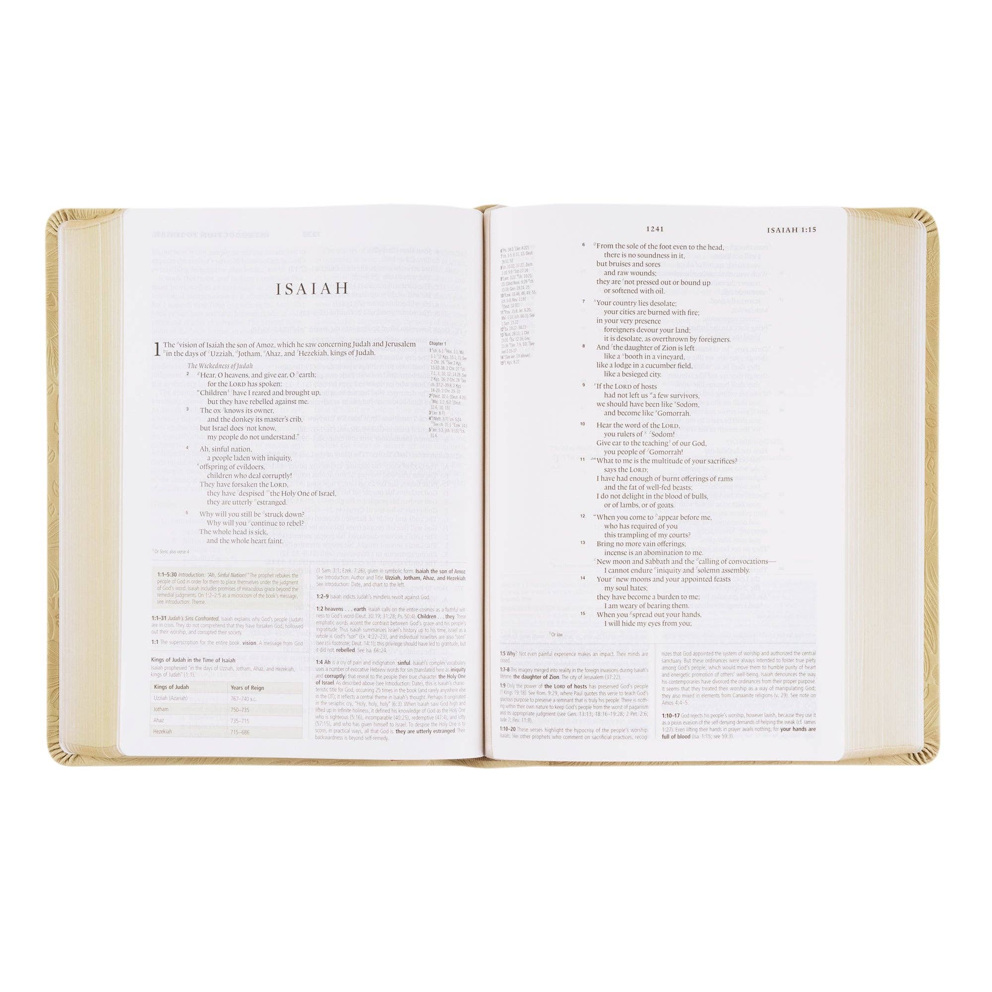 ESV Study Bible: Sonora Theme - Image 5