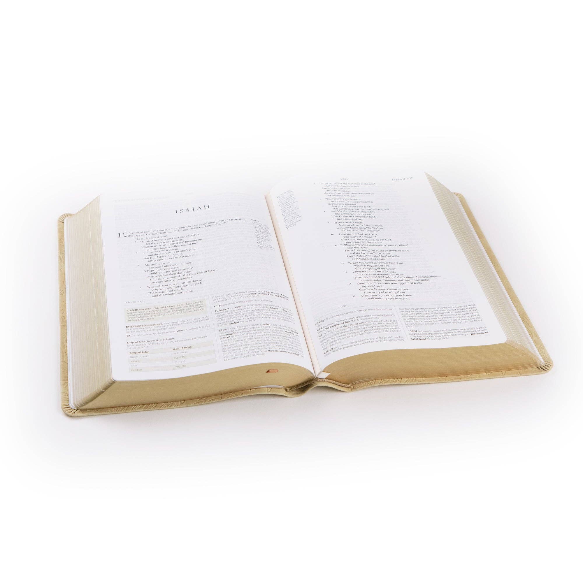 ESV Study Bible: Sonora Theme - Image 7