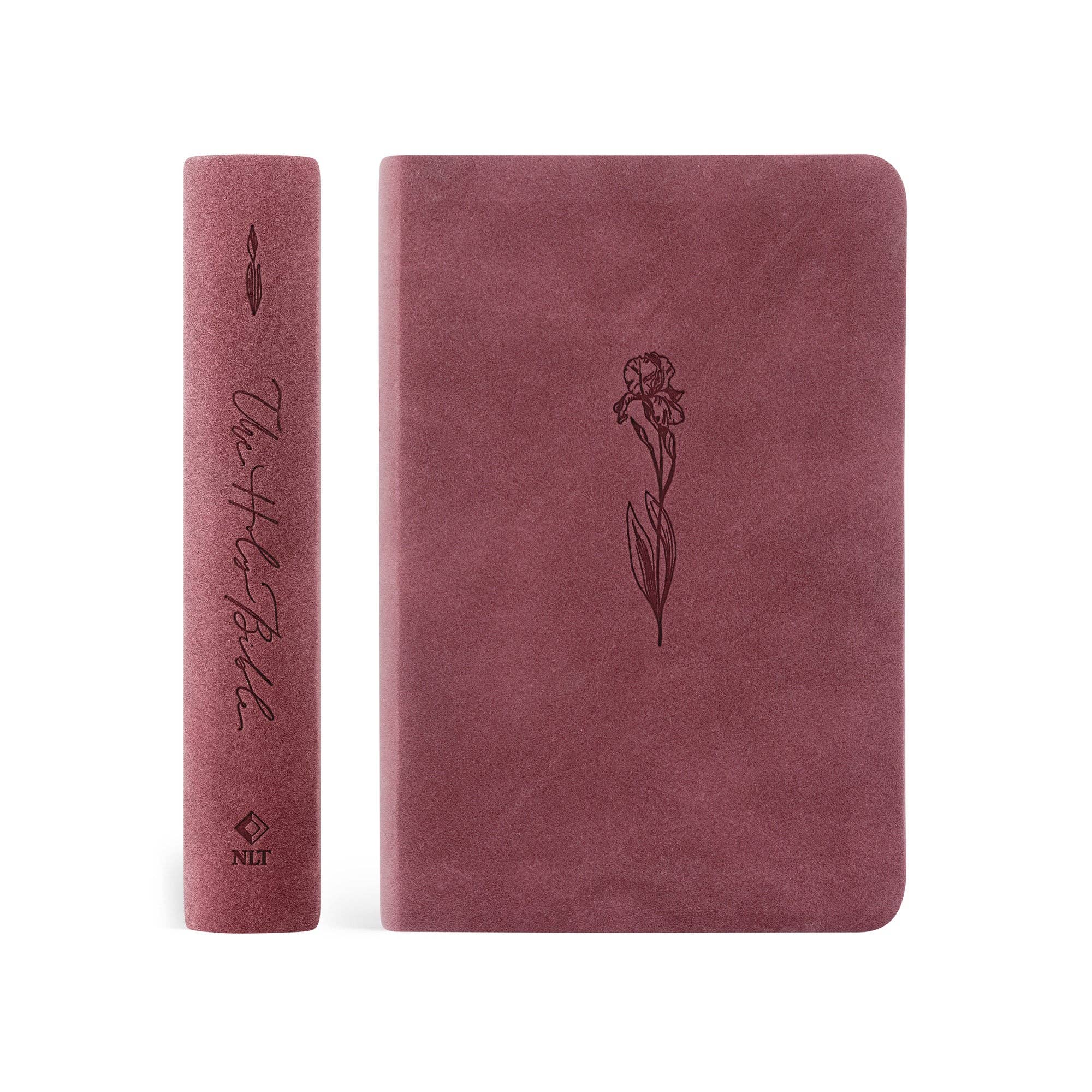 NLT Compact Bible: Helena Theme - Image 3