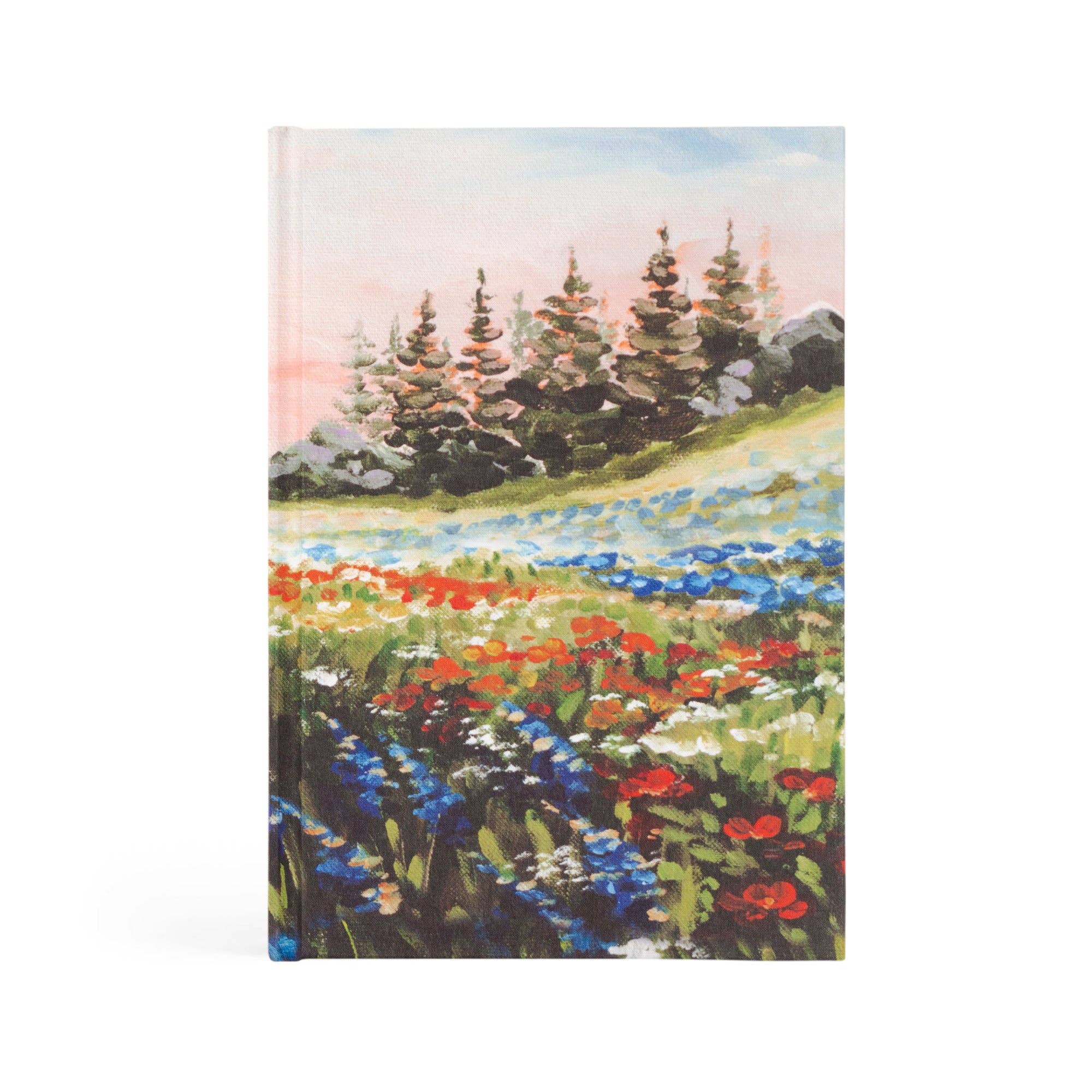 Notebook: Coram Theme