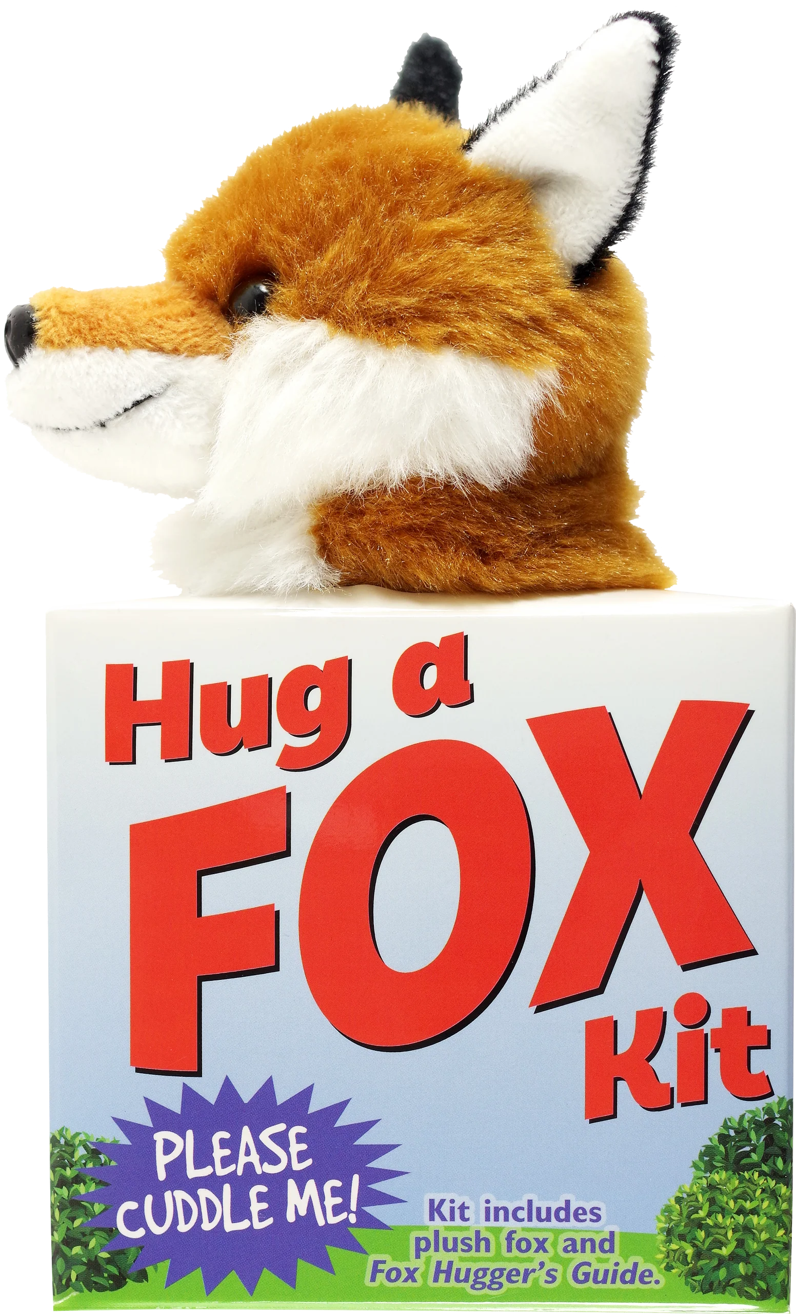 Hug a Fox Kit (book with plush) - Image 2
