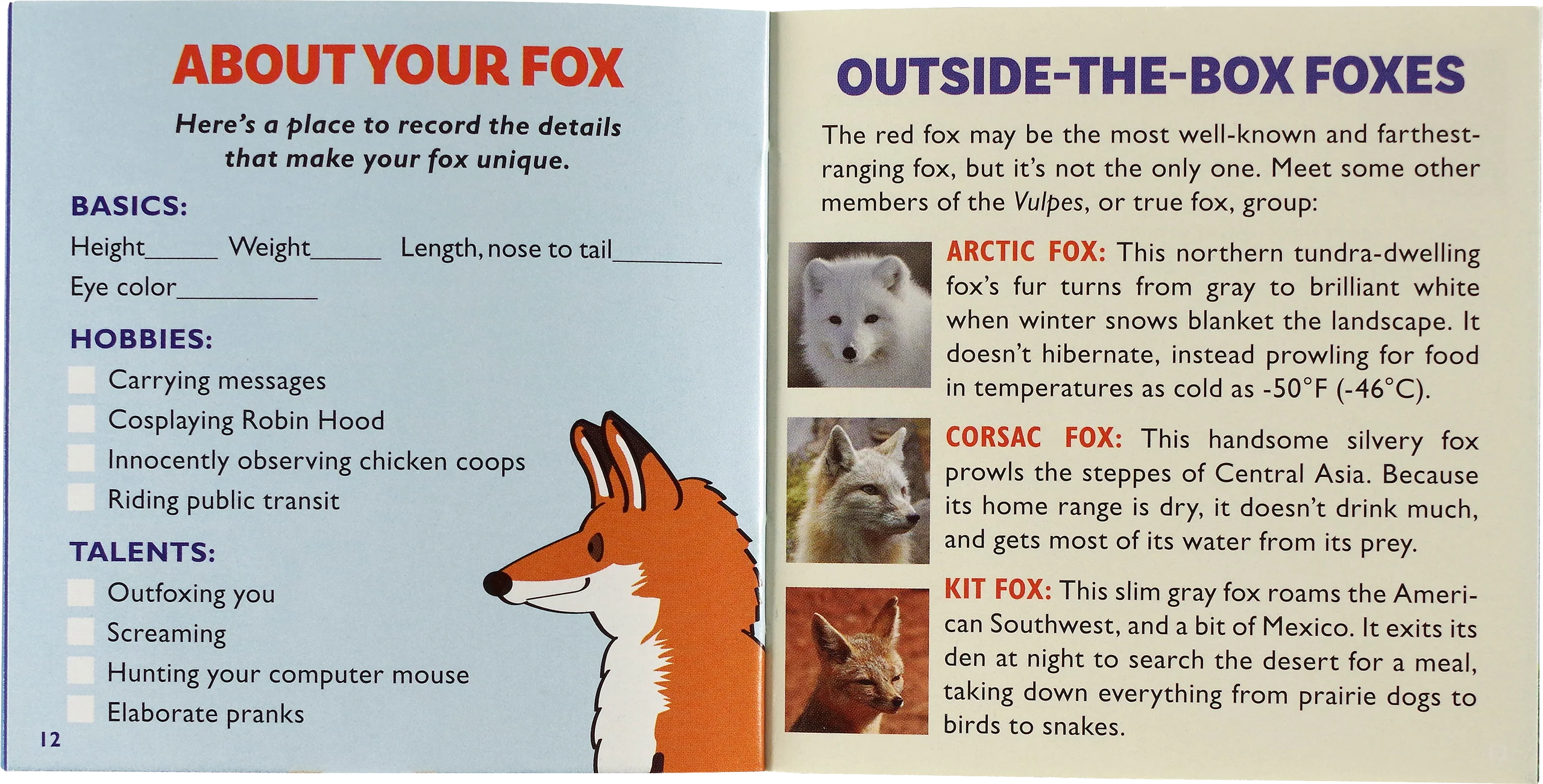 Hug a Fox Kit (book with plush) - Image 5