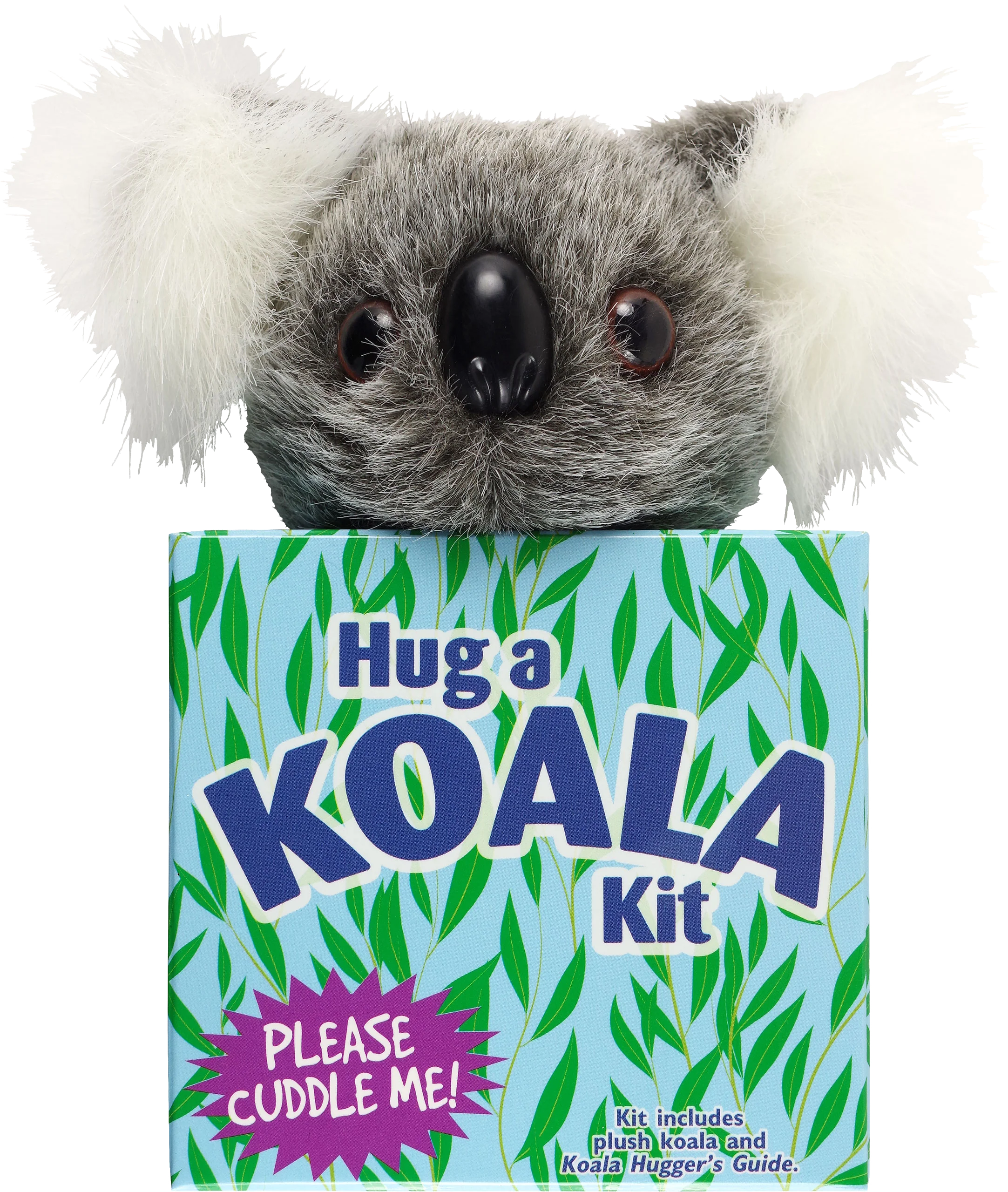 Hug a Koala Kit - Image 2