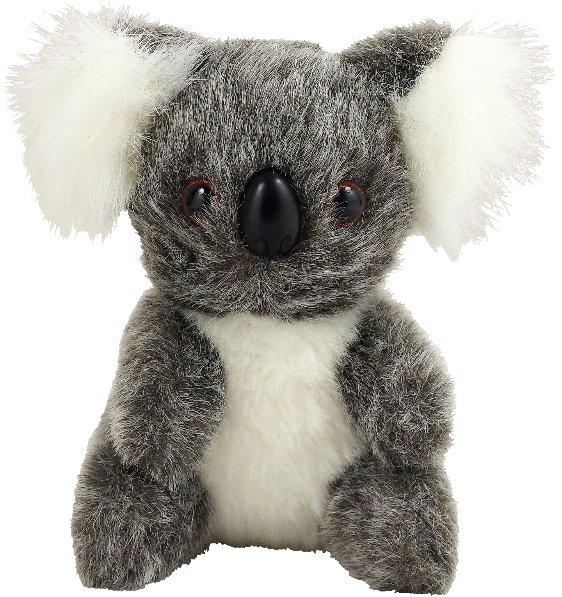 Hug a Koala Kit - Image 3