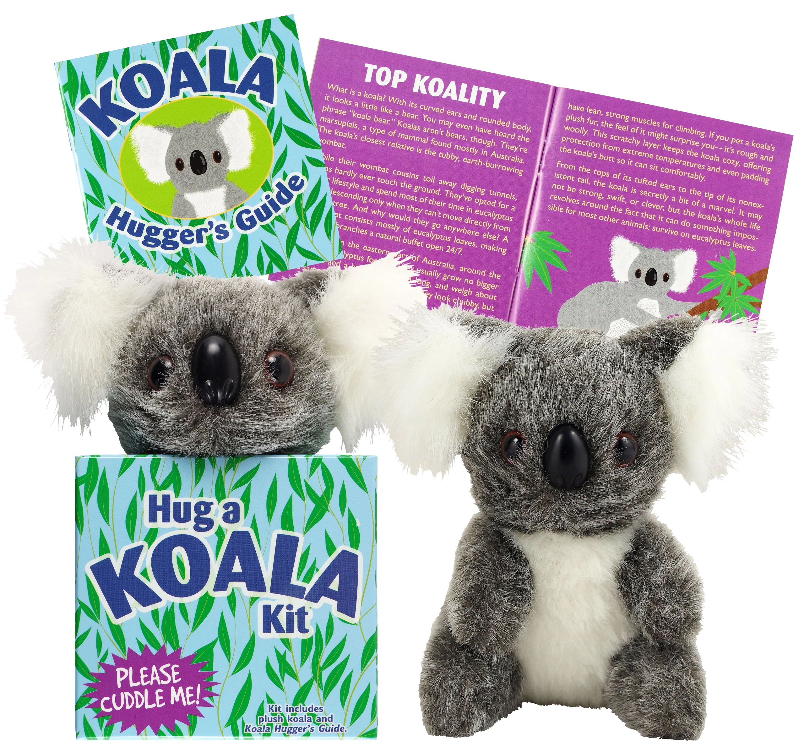 Hug a Koala Kit - Image 4