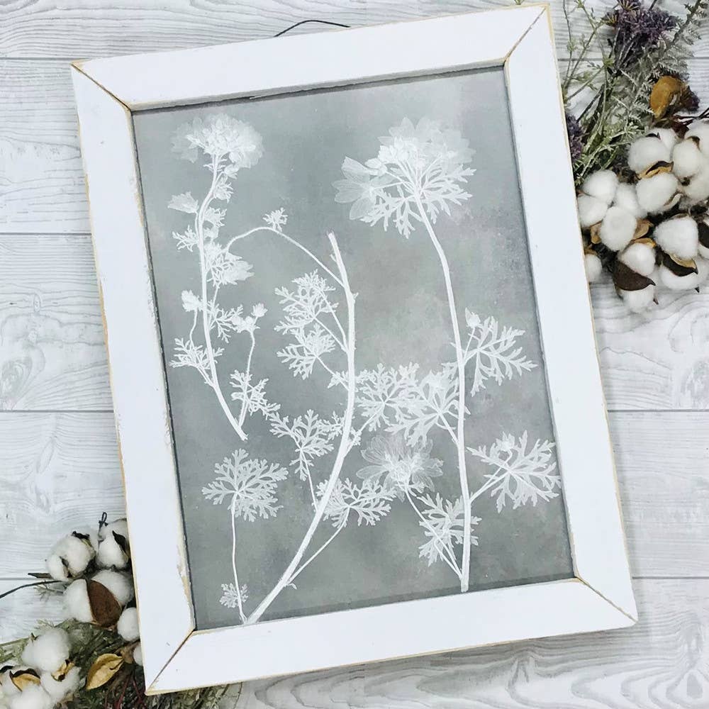 Plant Study
