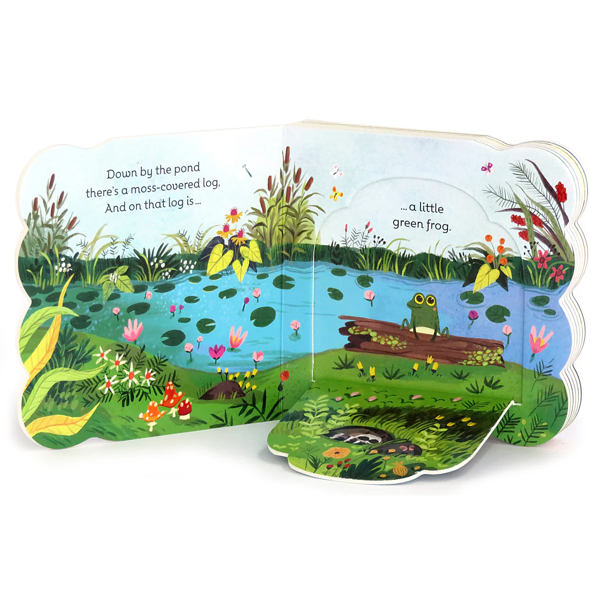 Little Green Frog Lift-a-Flap Board Book - Image 2
