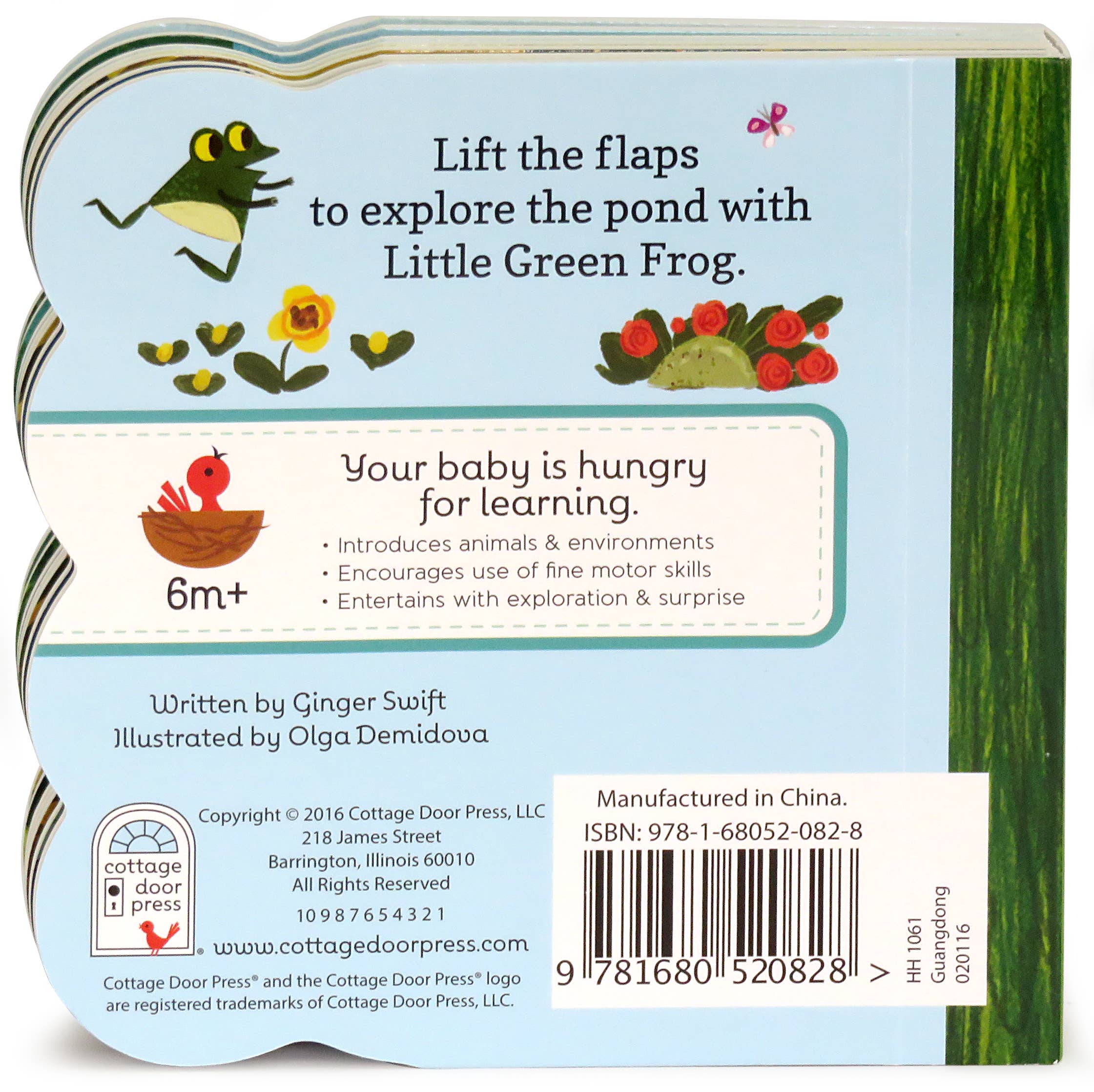 Little Green Frog Lift-a-Flap Board Book - Image 3