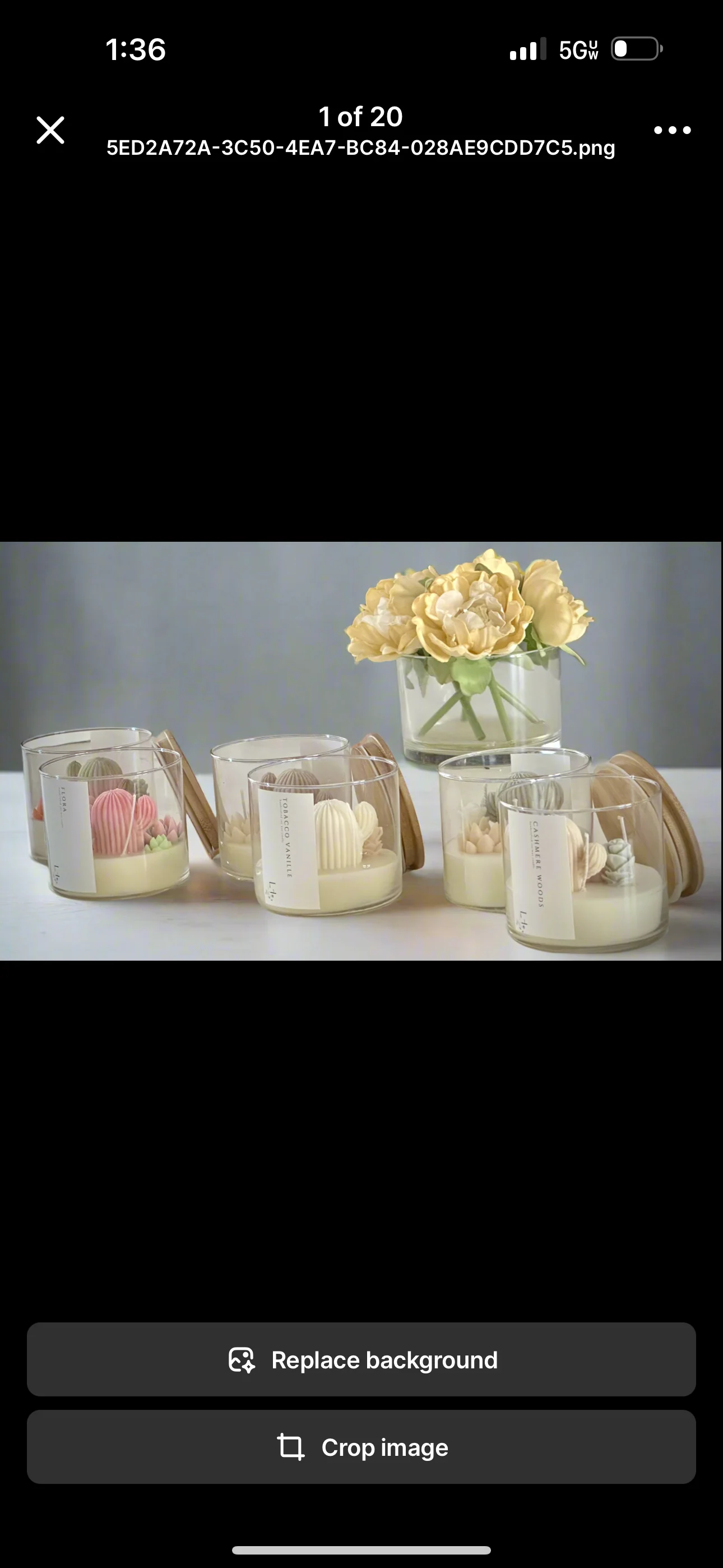 The Succulent Scented 3 Wick Cactus Candle Jar - Image 6