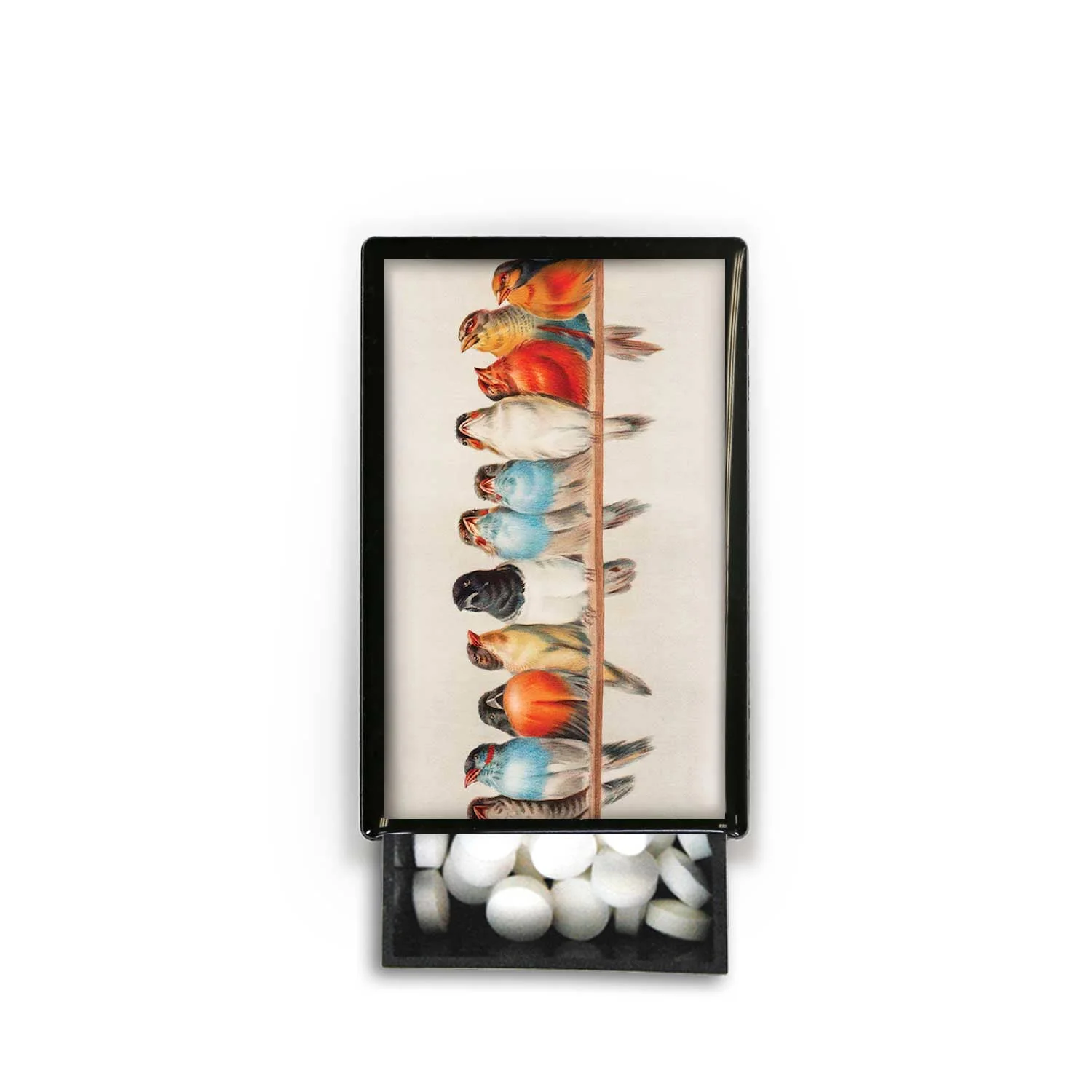 Birds in a line Wire Sky Nature Fly Feathers Slide Box - Image 3