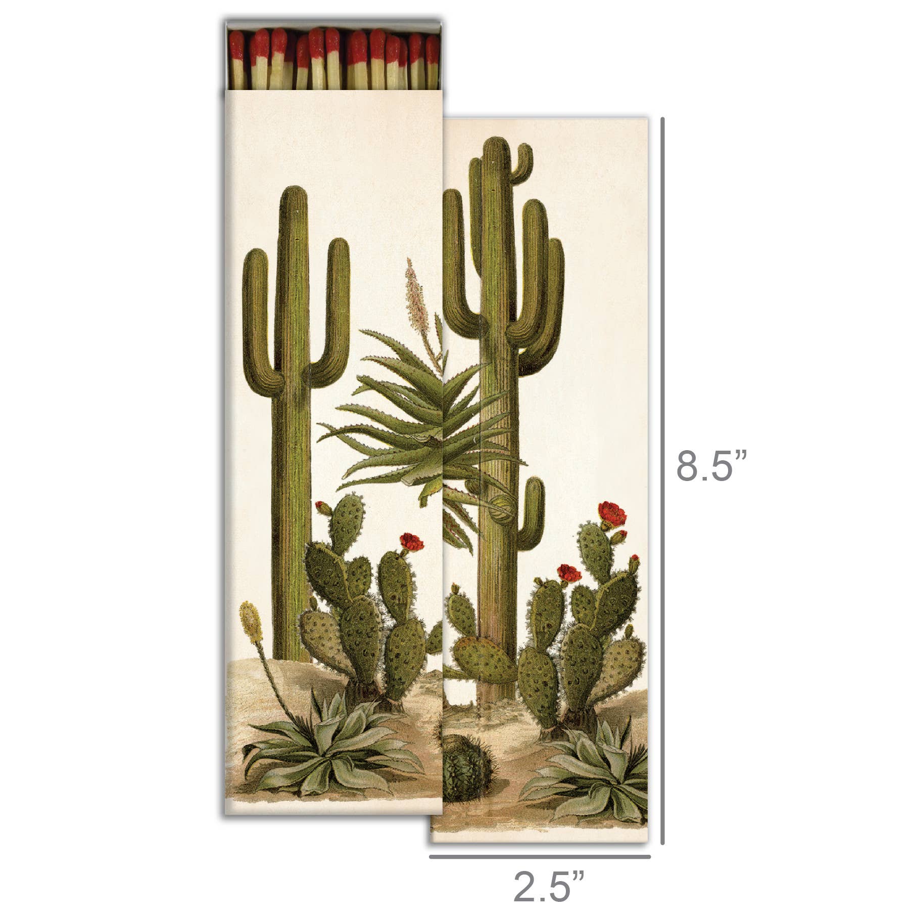 Match Tall Cacti - Image 2