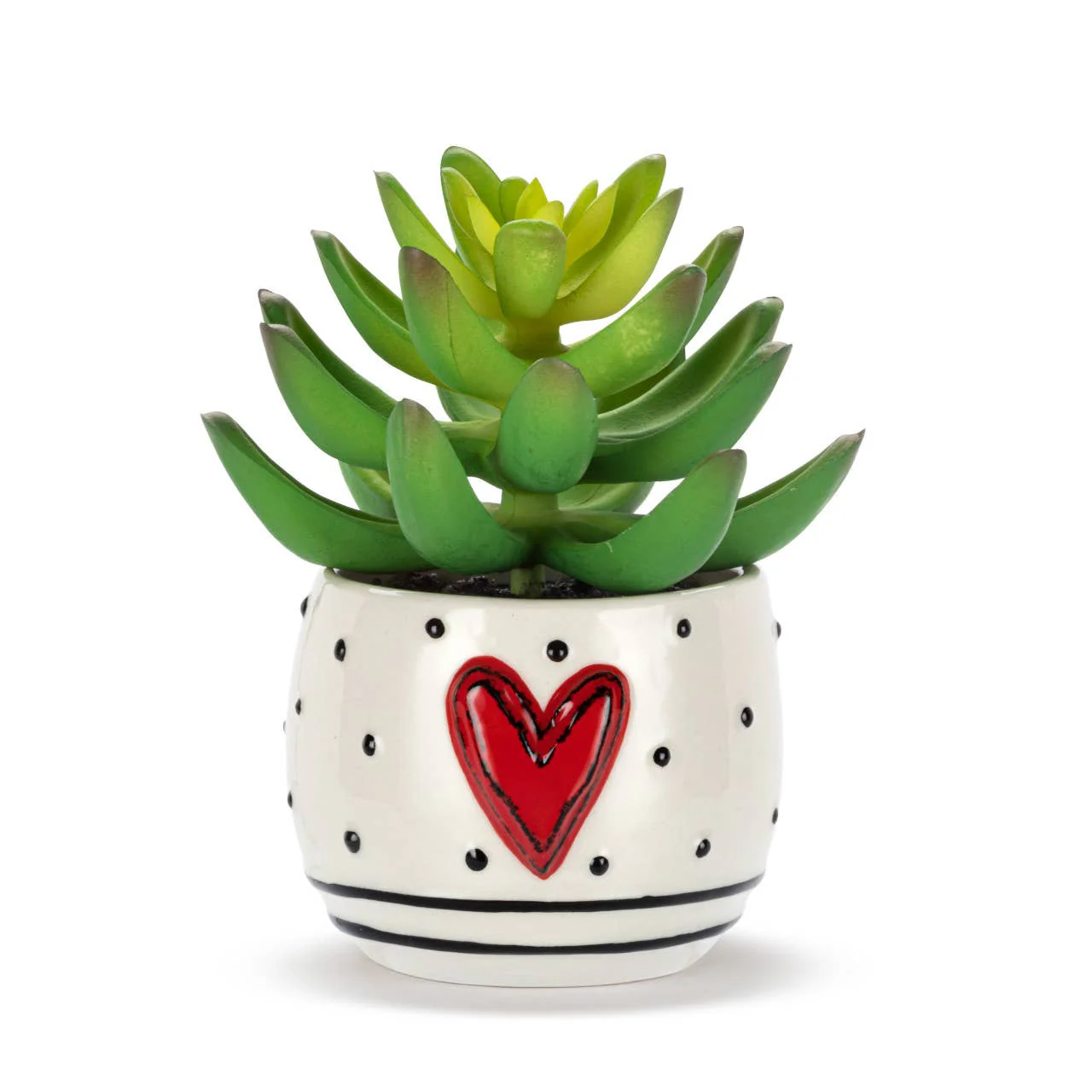 Mini Succulent Heart & Dots