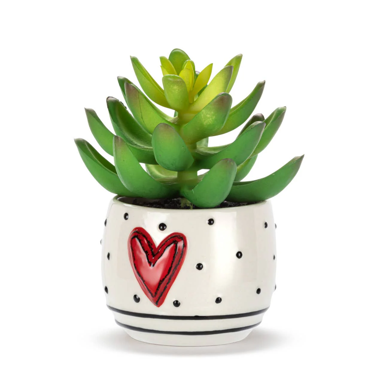 Mini Succulent Heart & Dots - Image 2
