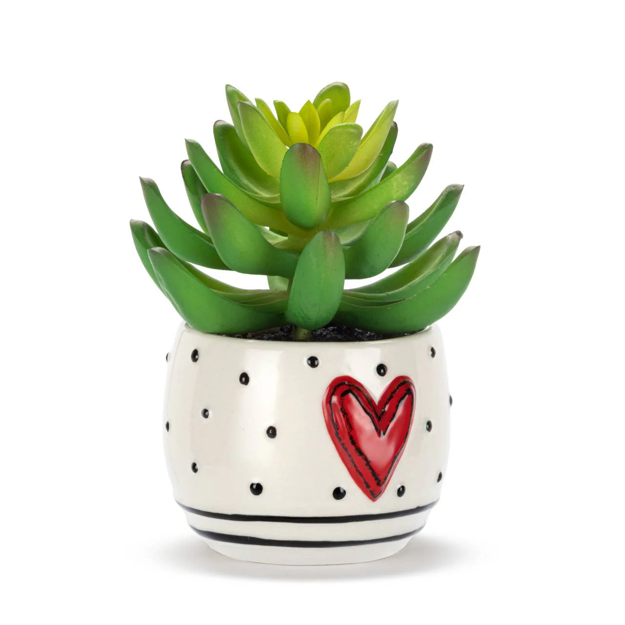 Mini Succulent Heart & Dots - Image 4