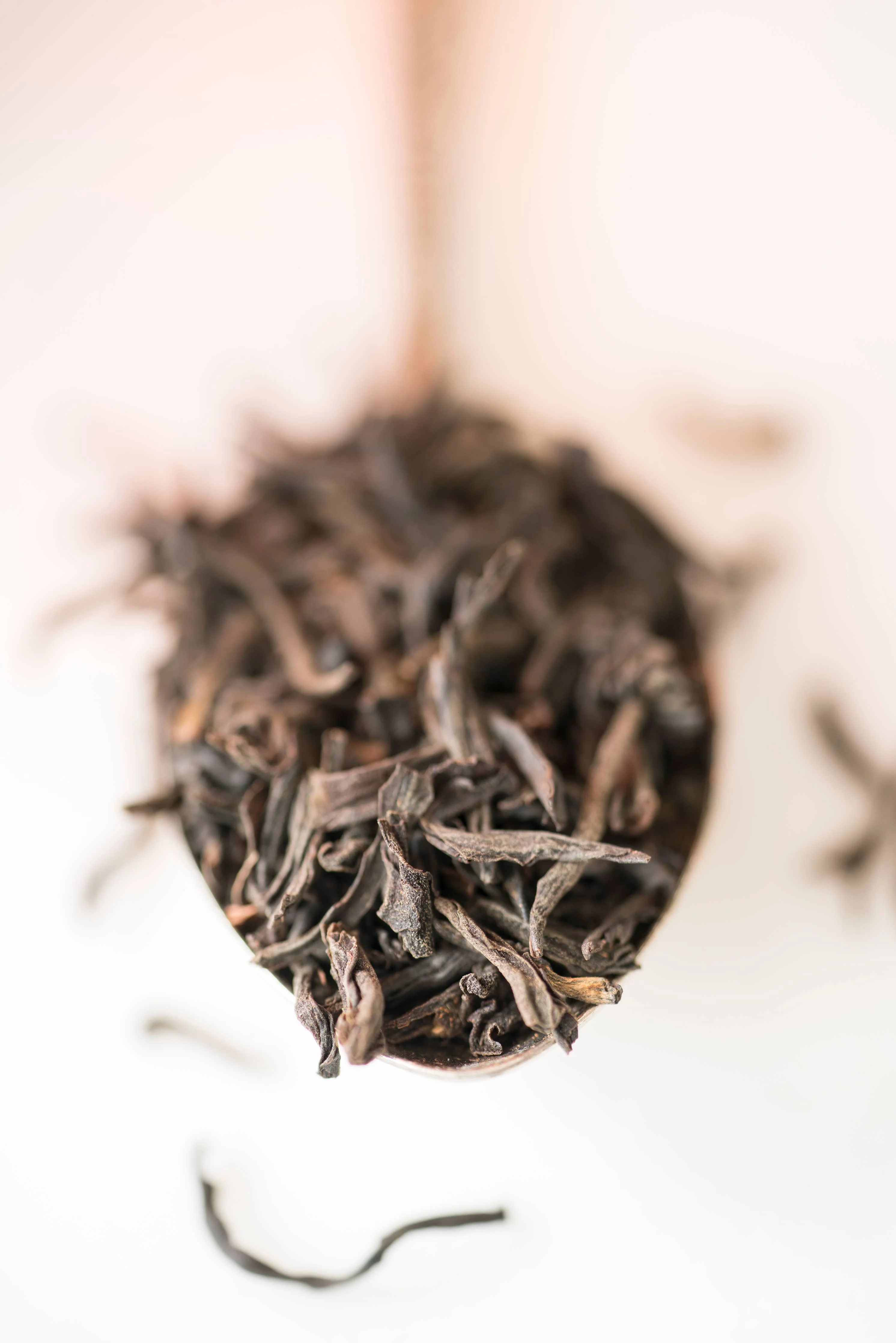 Amsterdam Breakfast Tea Refill Box - Image 3