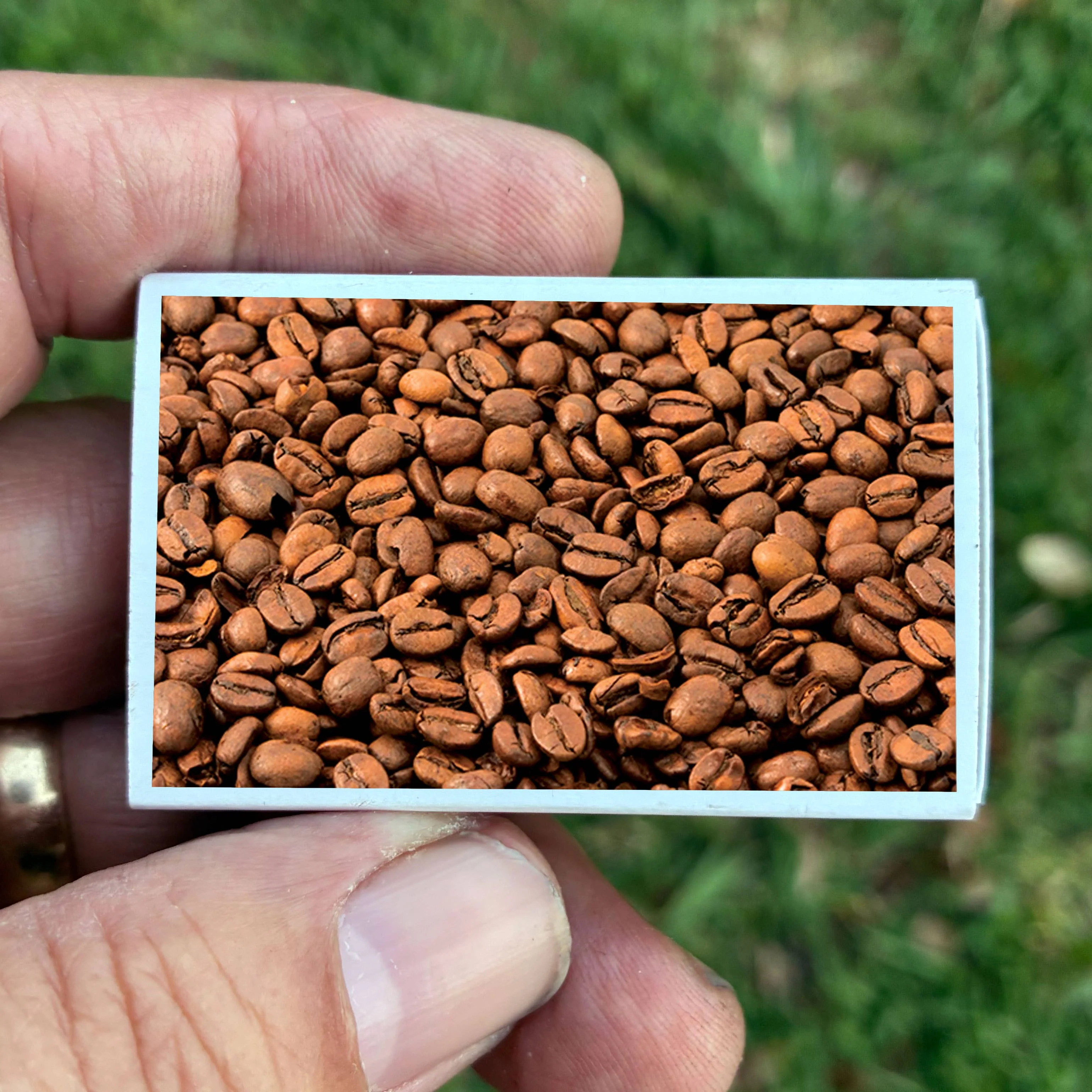 Matches • Coffee Beans - Image 5