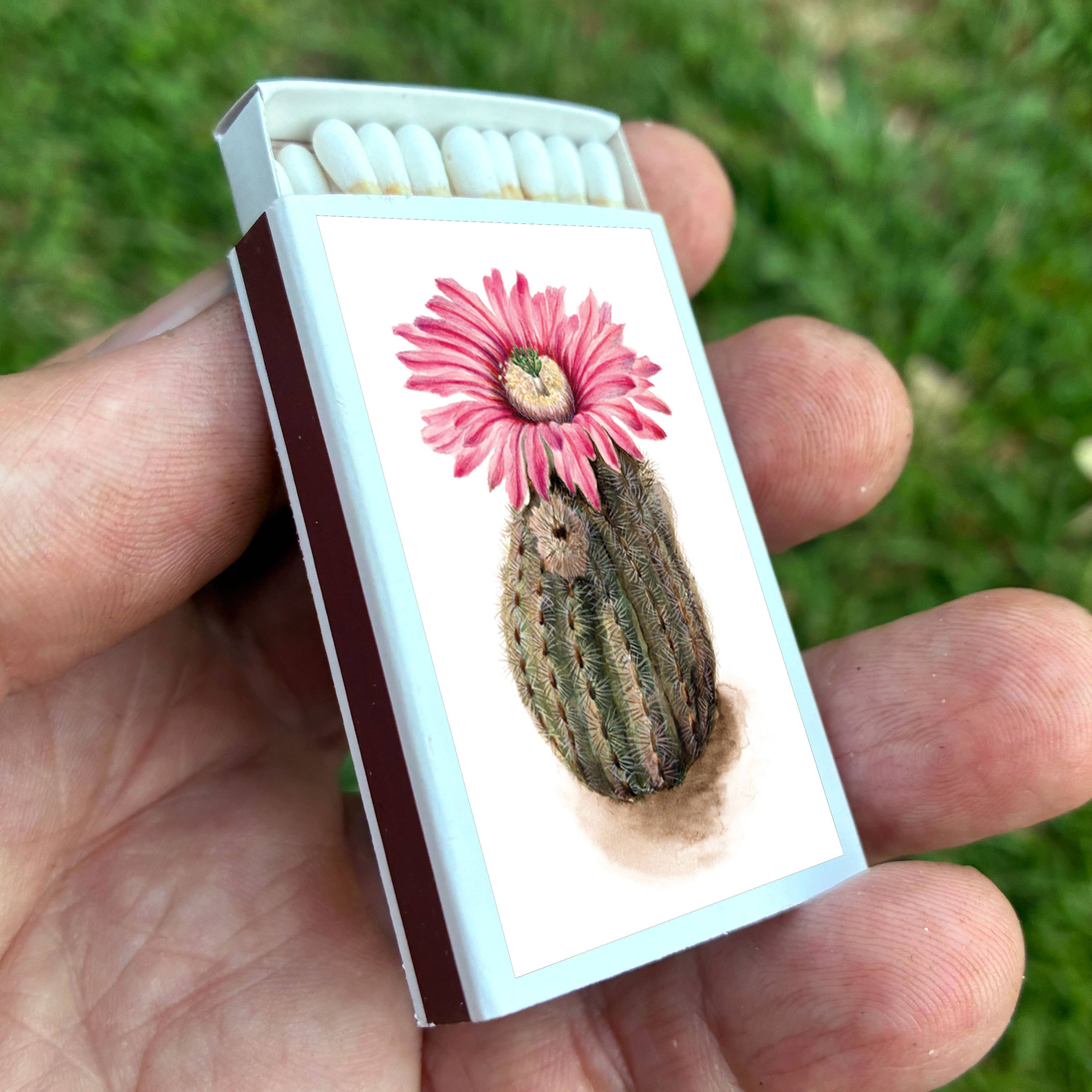 Matches • Turkeyhead Cactus • - Image 2
