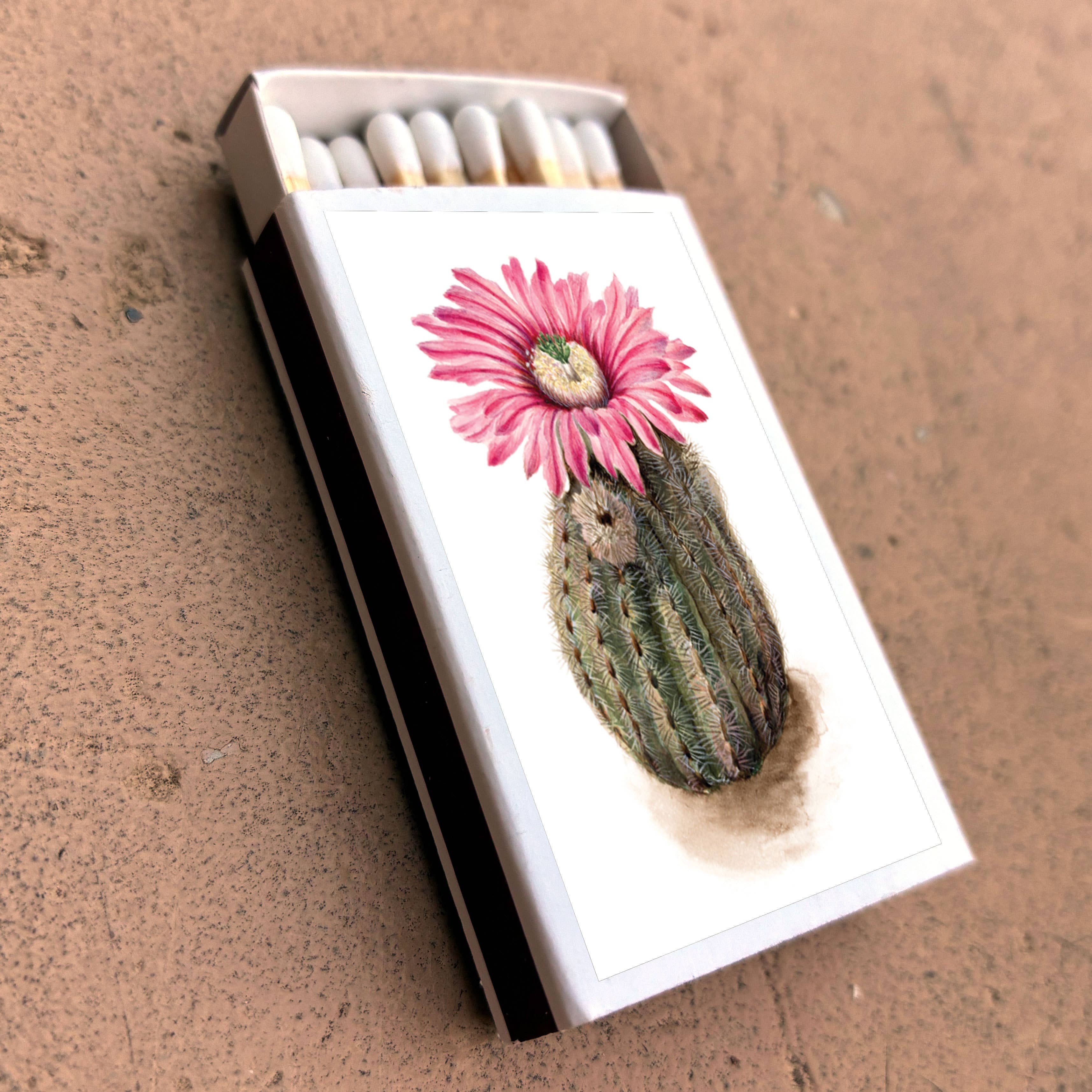 Matches • Turkeyhead Cactus • - Image 6