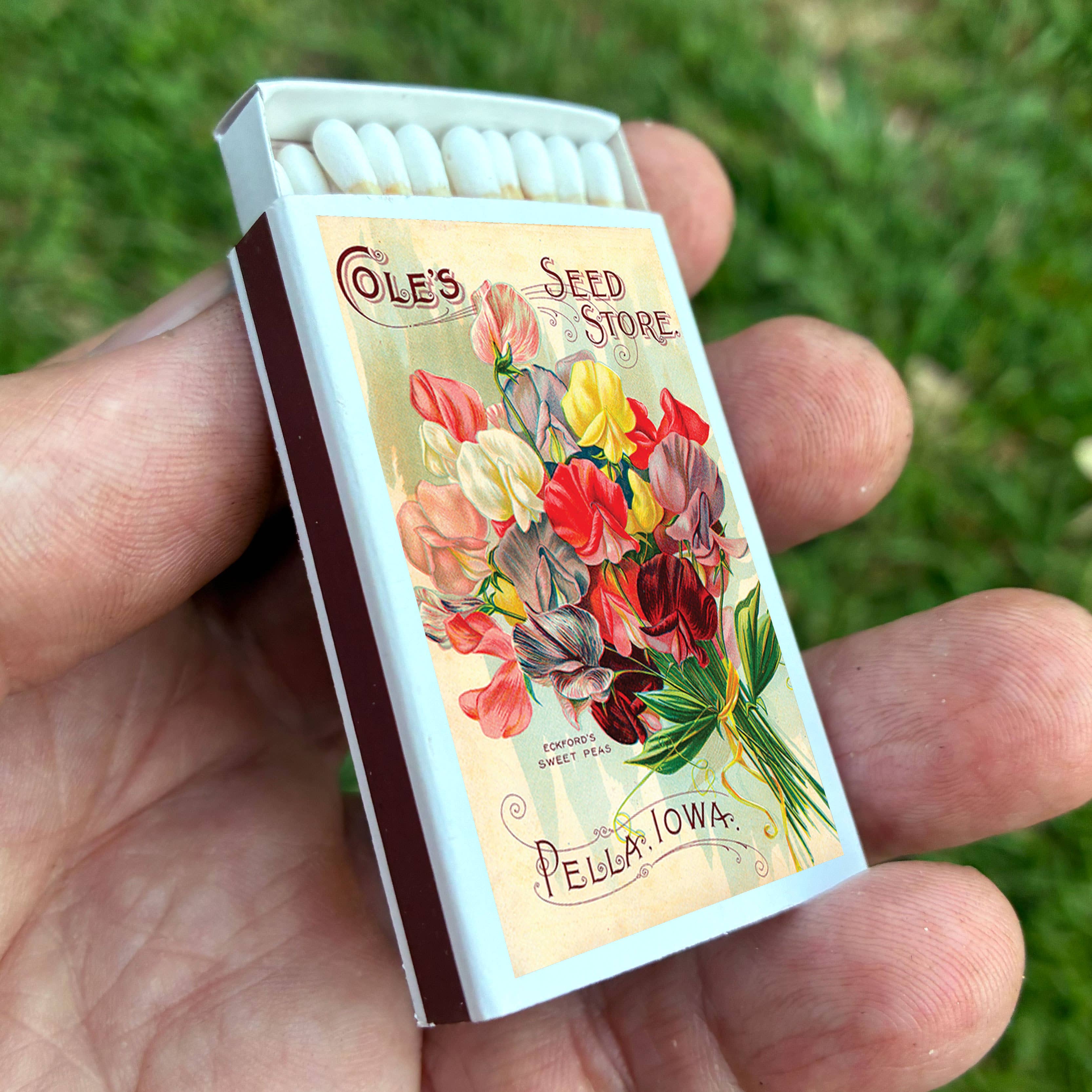 Sweet Pea Flower Matches - Image 2