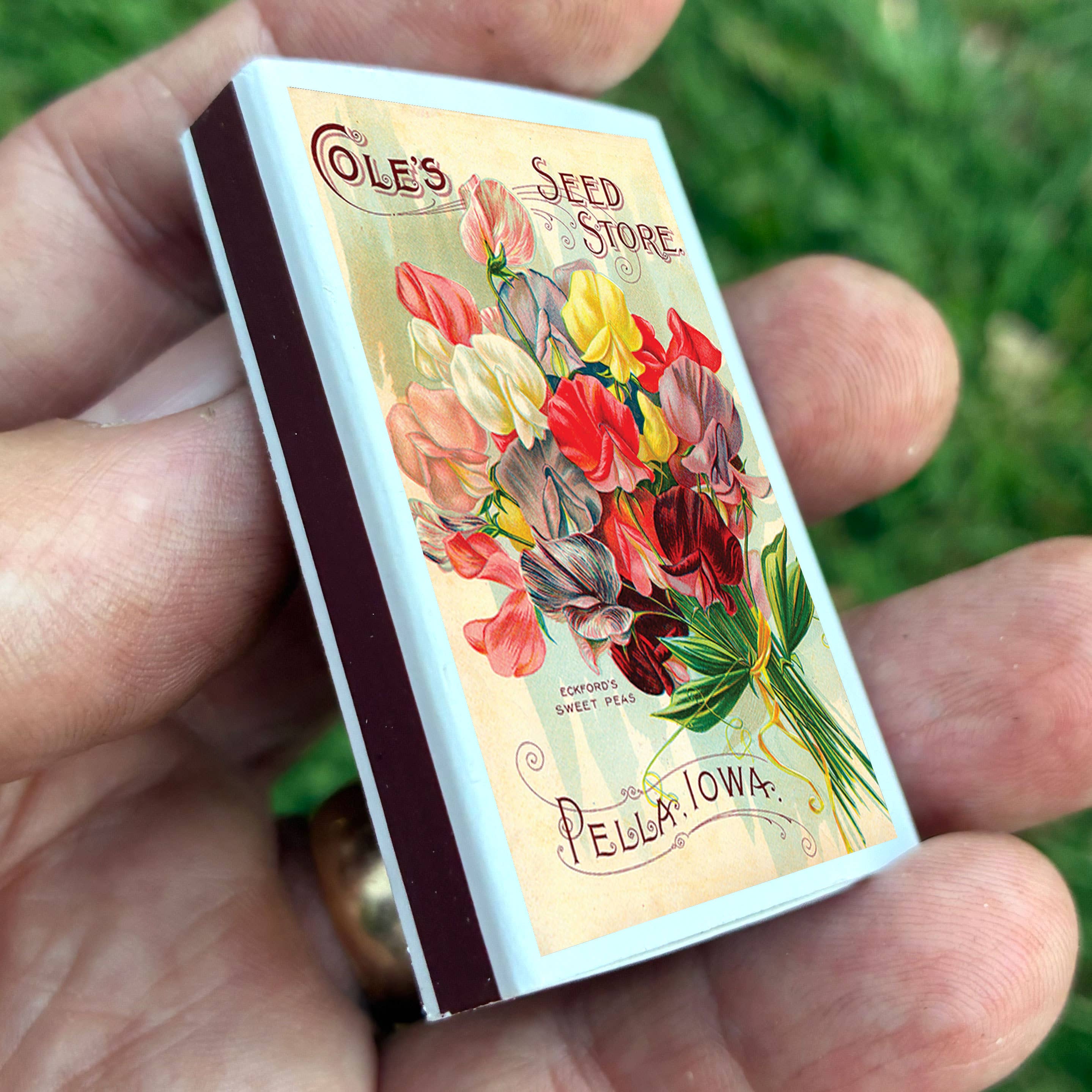 Sweet Pea Flower Matches - Image 4