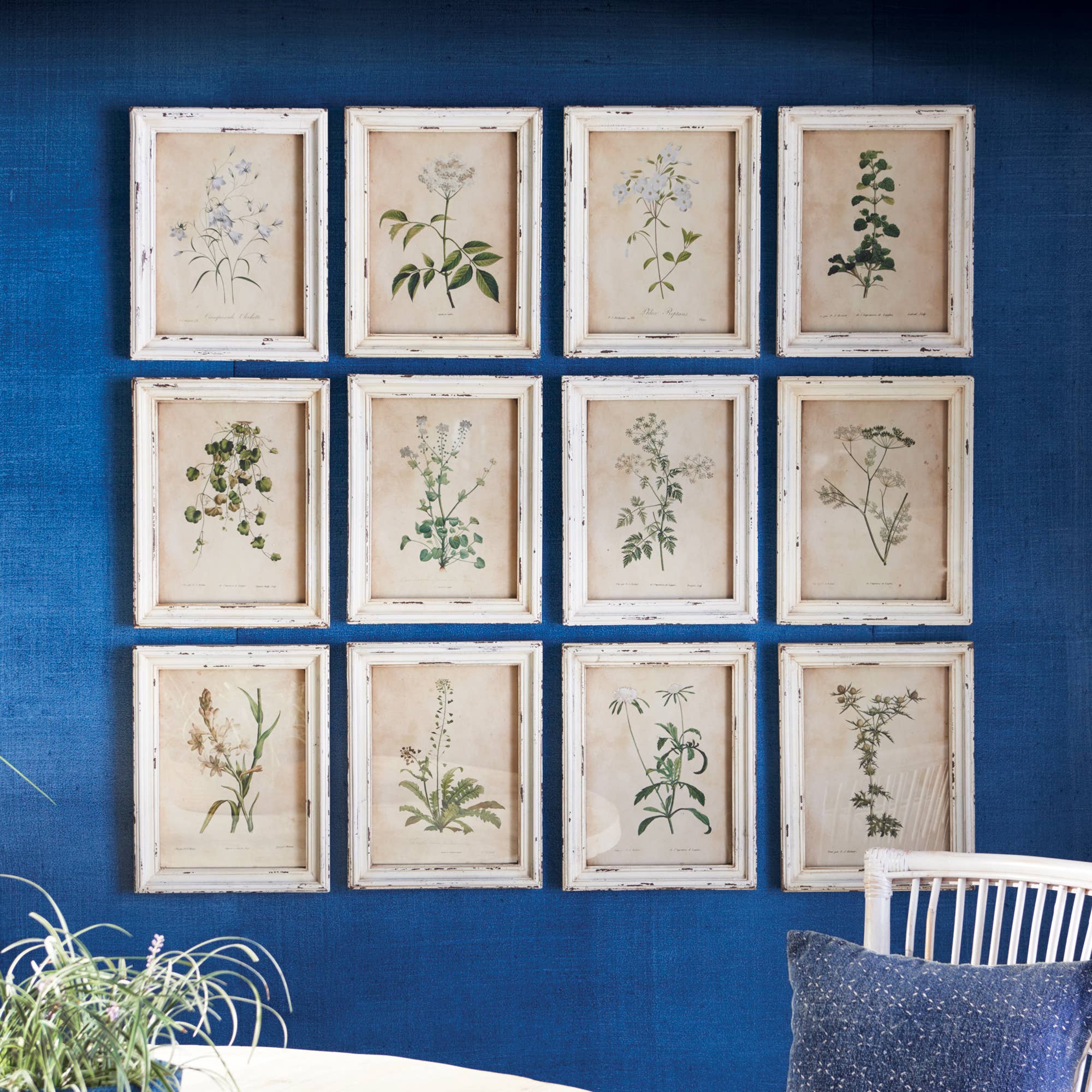 Framed Wild Flower Botanical Prints -Assorted- Sold Separately - Image 2