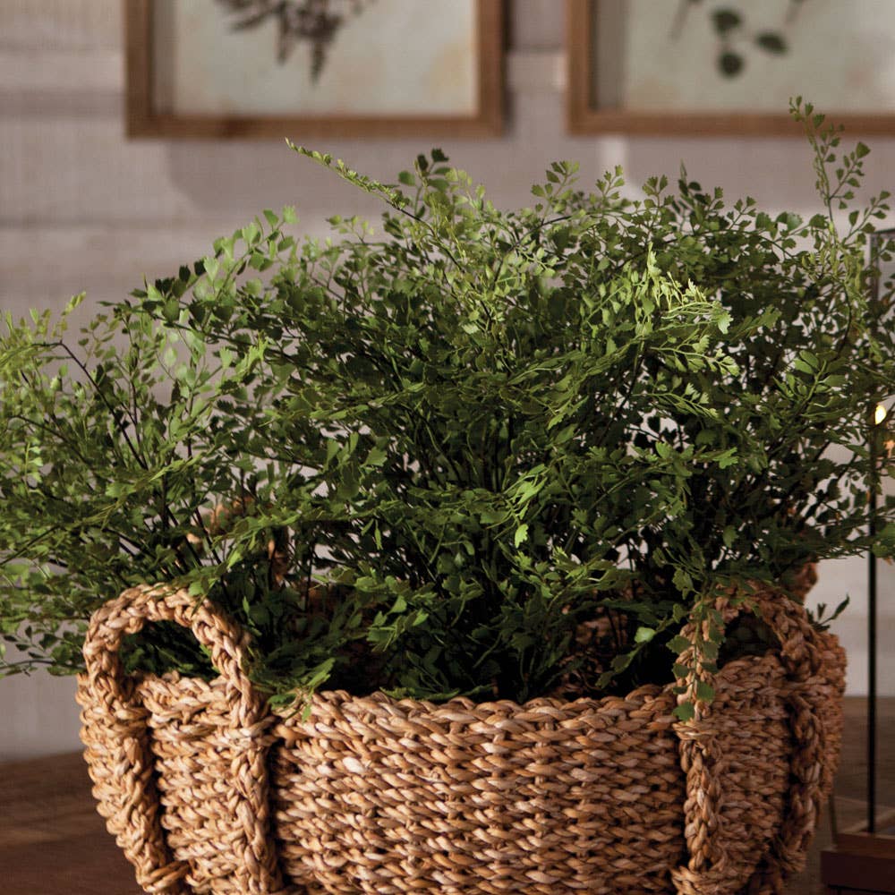 Maidenhair Fern Drop-In 13" - Image 2