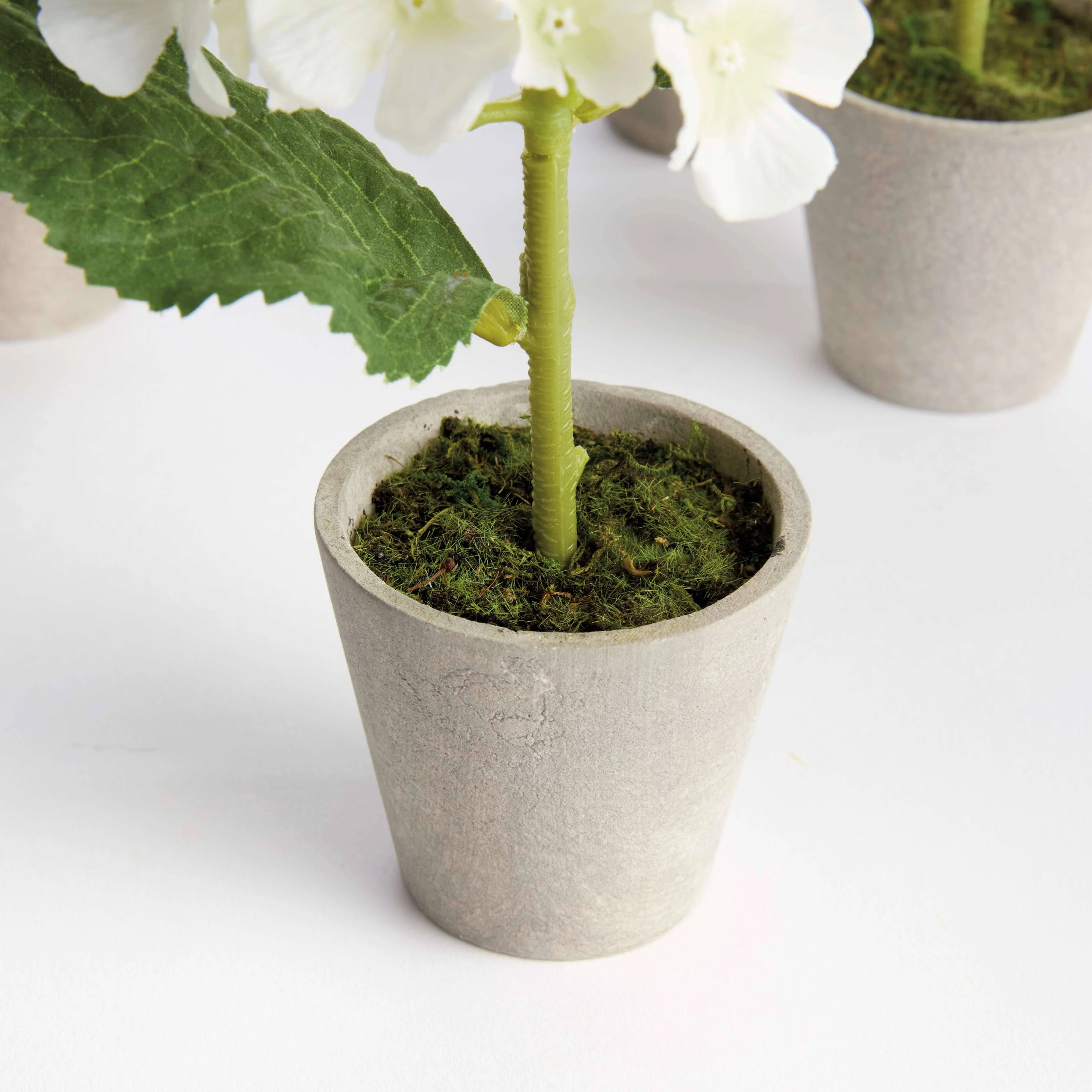 MINI HYDRANGEA POTTED 8" - Image 3