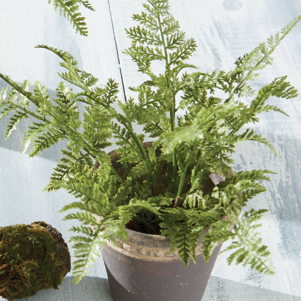 Soft Fern Drop-In 8.5" - Image 2