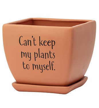 Funny Square Planters- assorted design-sold separately - Image 2
