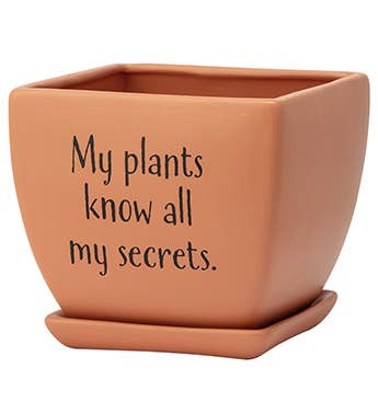 Funny Square Planters- assorted design-sold separately - Image 3