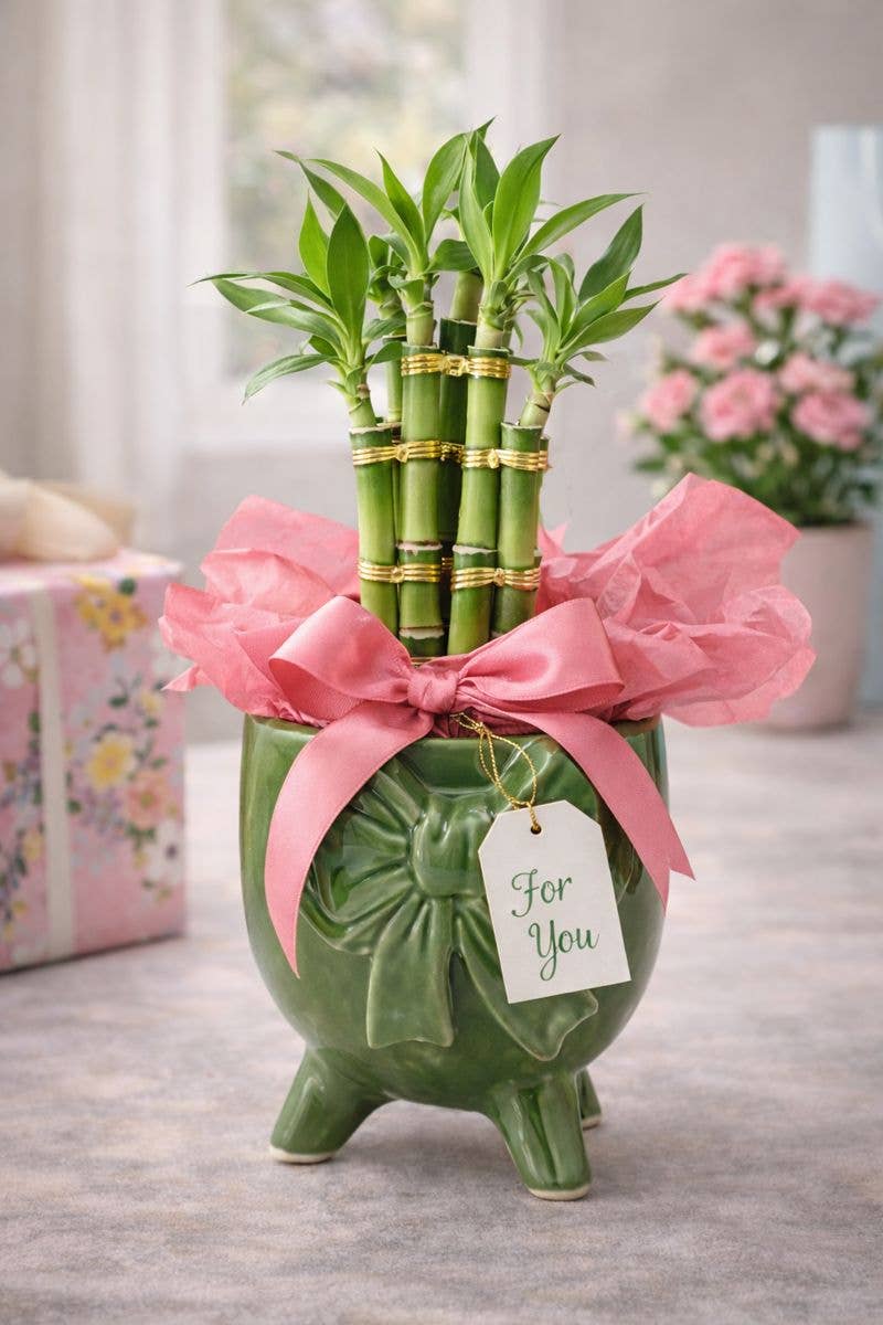 Green Footed Bow Planter - Image 2