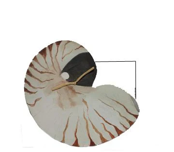 Nautilus with glitter greeting card